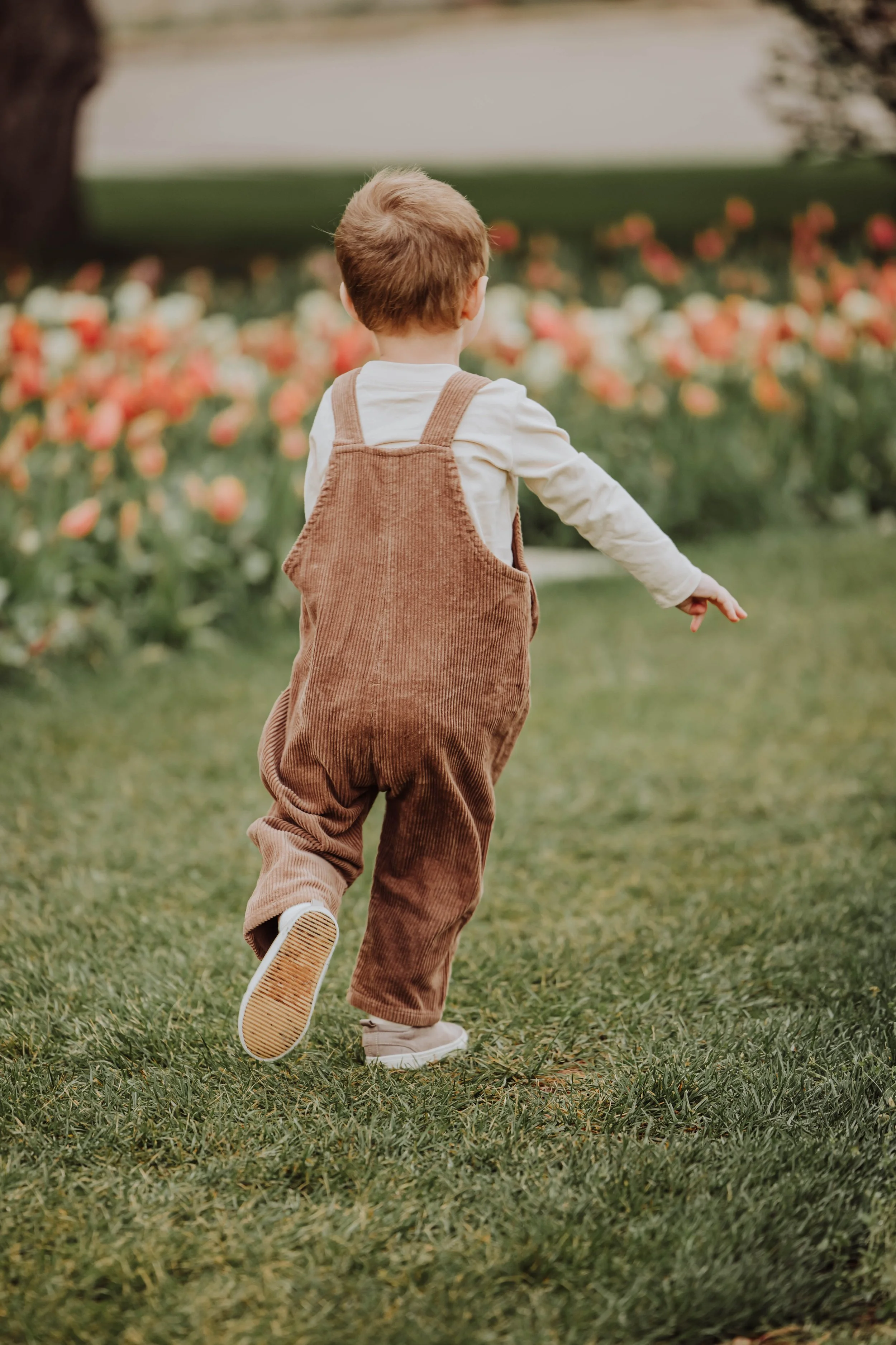 Candid toddler running through tulips during Holland Michigan family mini session spring.