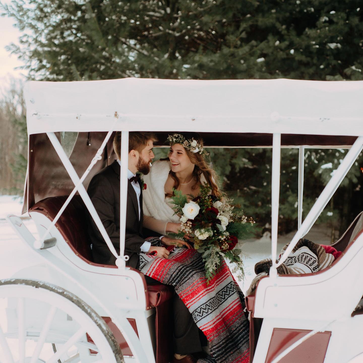 Winter wedding dreams ✨ who doesn&rsquo;t want a light dusting of snow and a horse and carriage at their wedding? ✨