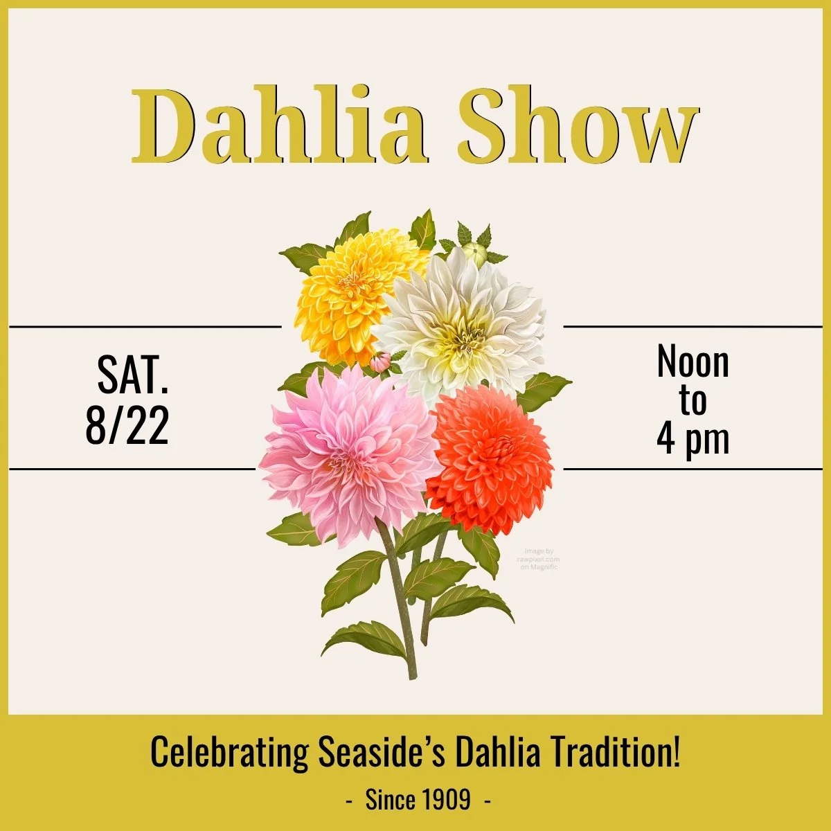 SMHS - Seaside Dahlia Show Promo.jpg
