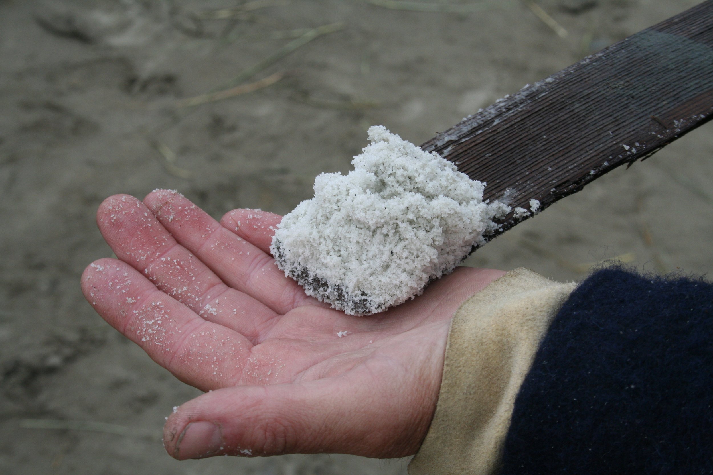 Photo- Hand and Salt.JPG