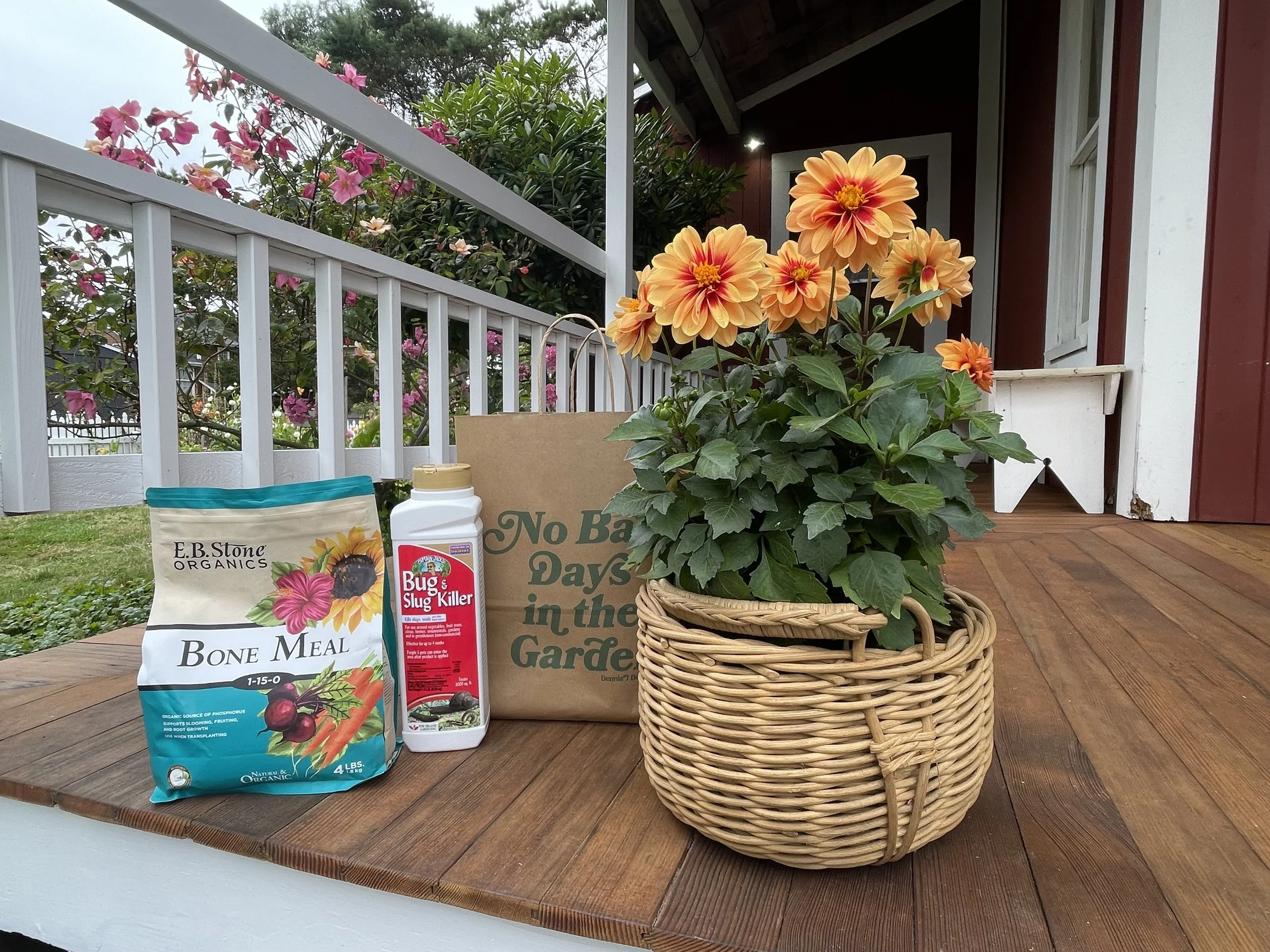 Dahlia Show - Raffle Prize.jpg