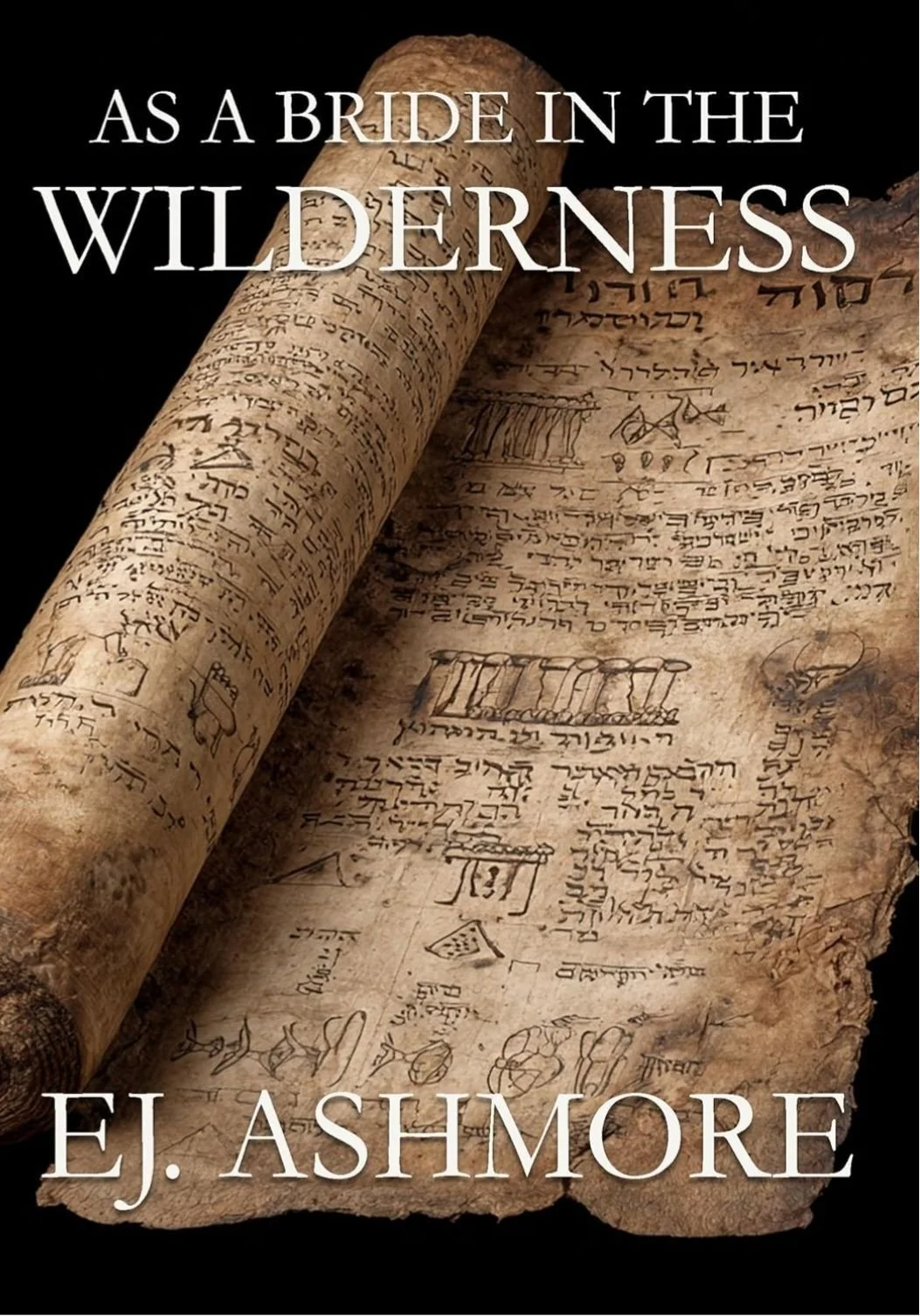 As a Bride in the Wilderness cover.jpg