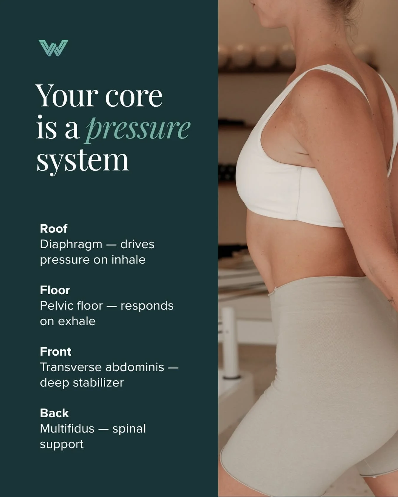 Think of your core like a canister that relies on coordinated pressure between your diaphragm (top), pelvic floor (bottom), deep abdominals (front), and spinal muscles (back). 

When this system works well, it creates stability for your spine and hel