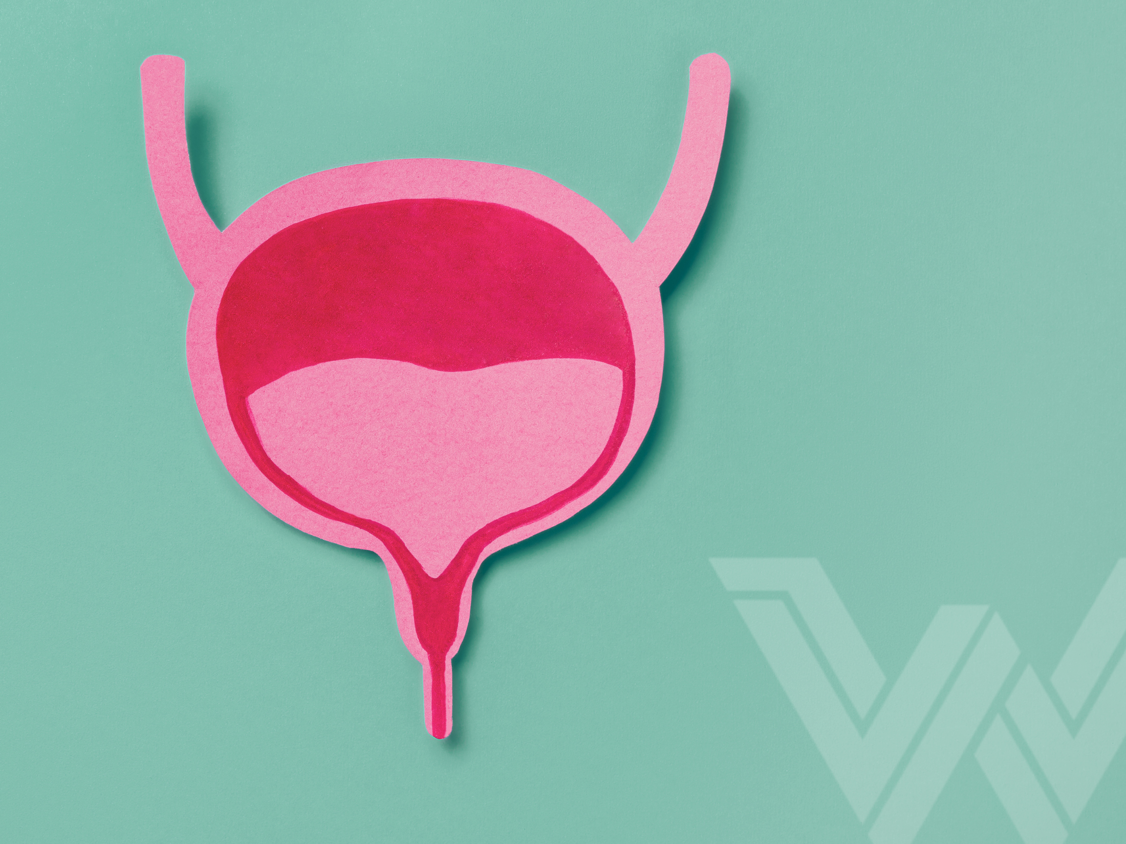 Bladder Pain, Urinary Urgency &amp; Interstitial Cystitis: Understanding the Connection to Your Pelvic Floor