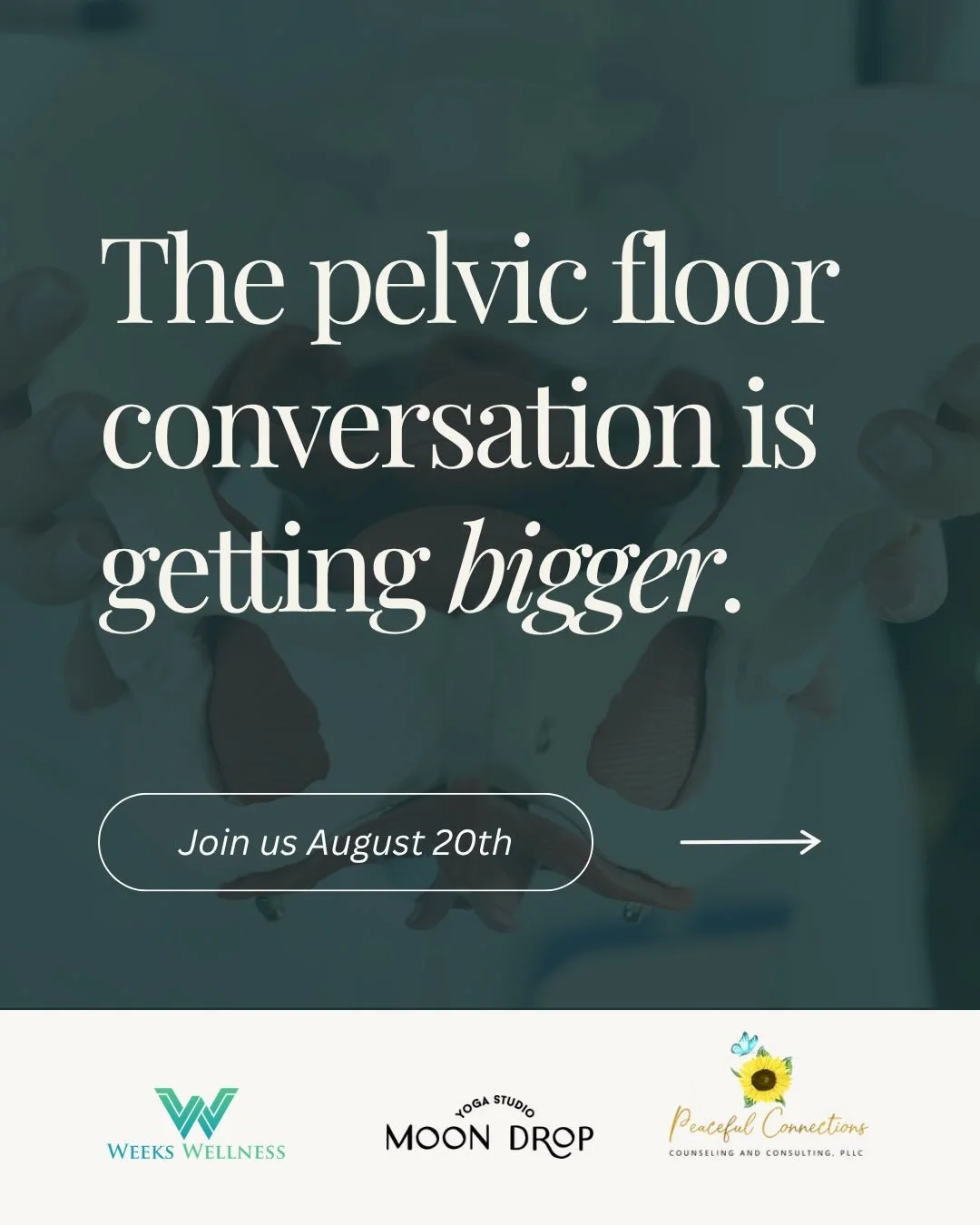 Join Dr. Megen of Weeks Wellness and @peacefulconnectconsult for Core Connections! An evening exploring pelvic health, emotional wellness, and the powerful connection between the mind, body, and overall well-being.

💛 Real conversations 🩵 Practical