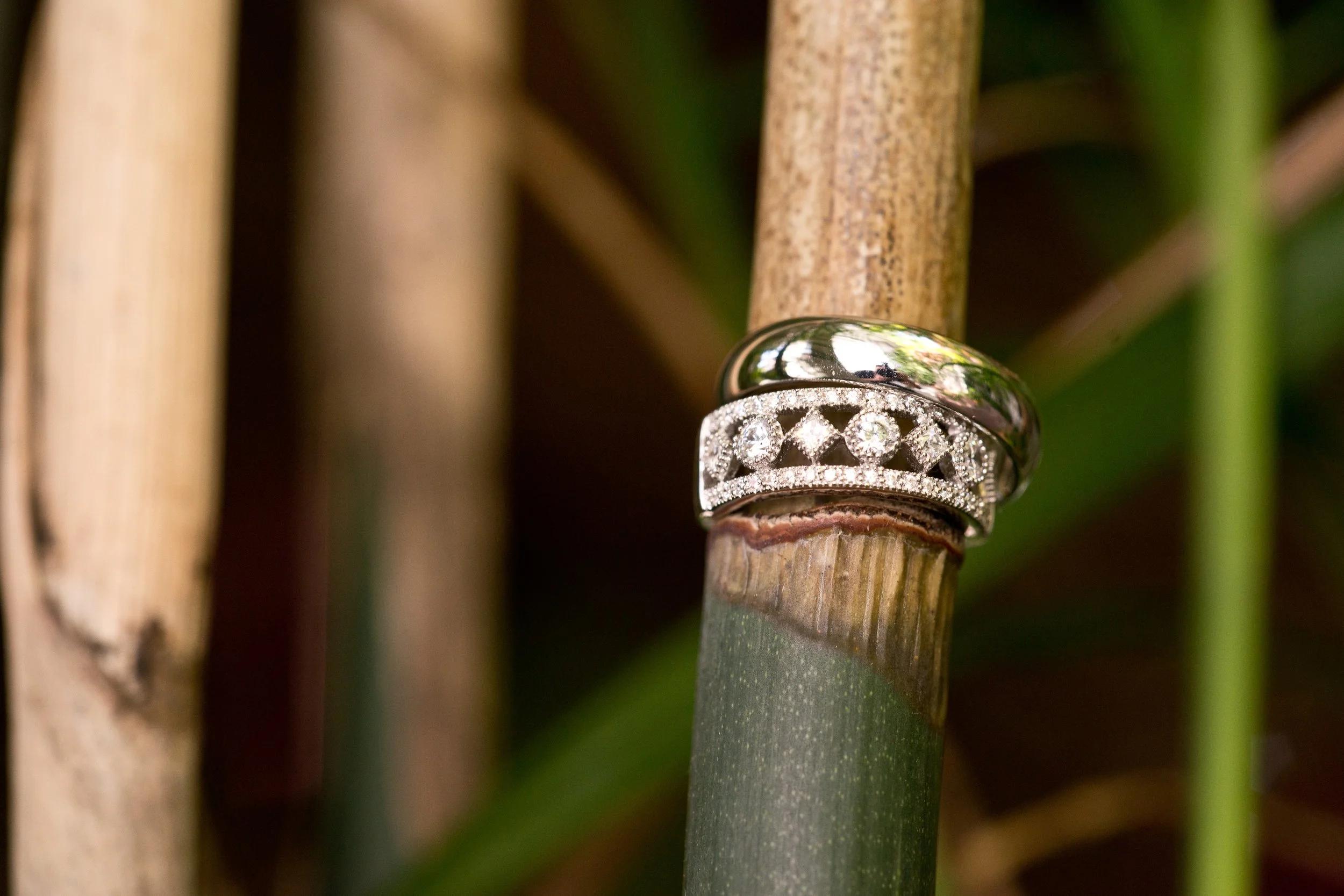 Close-up of a sparkling diamond ring on bamboo stalks.