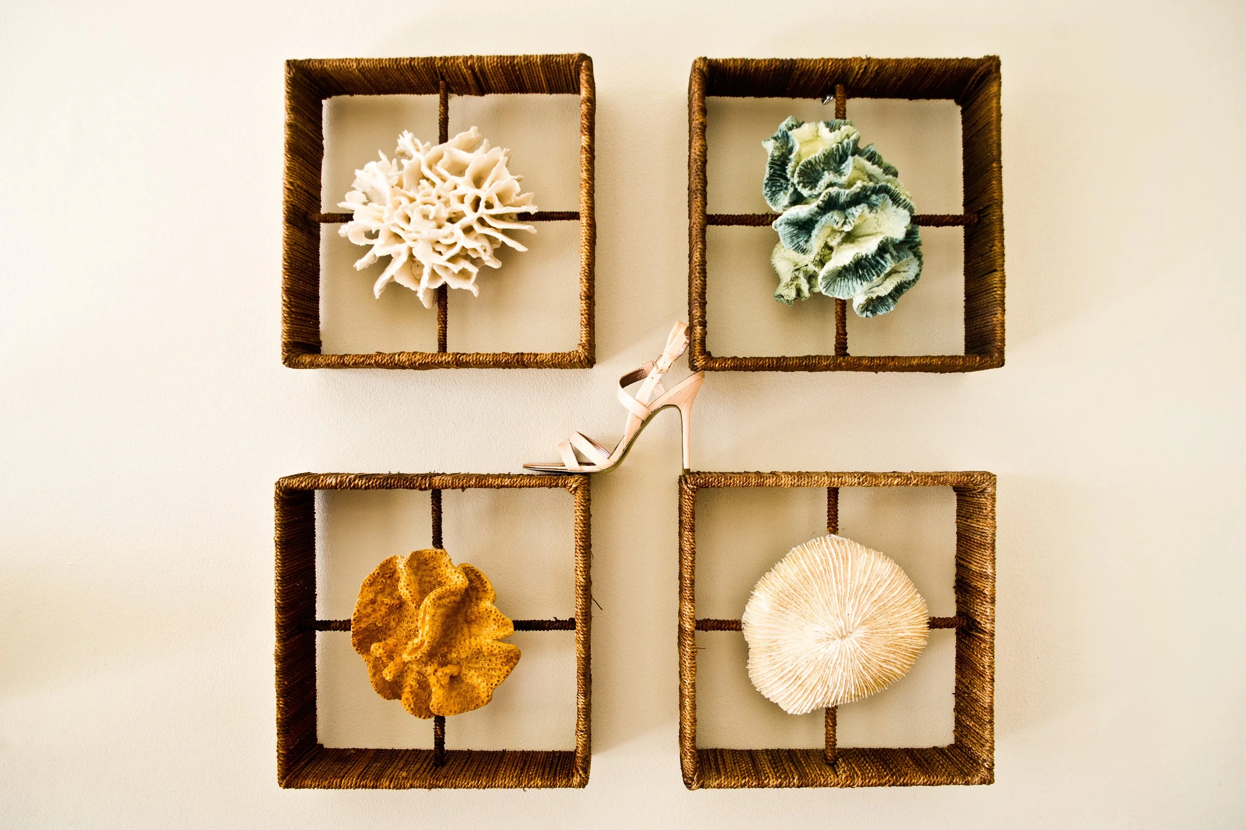 Display of various seashells and natural objects arranged in a wicker grid shelf hung on a wall.
