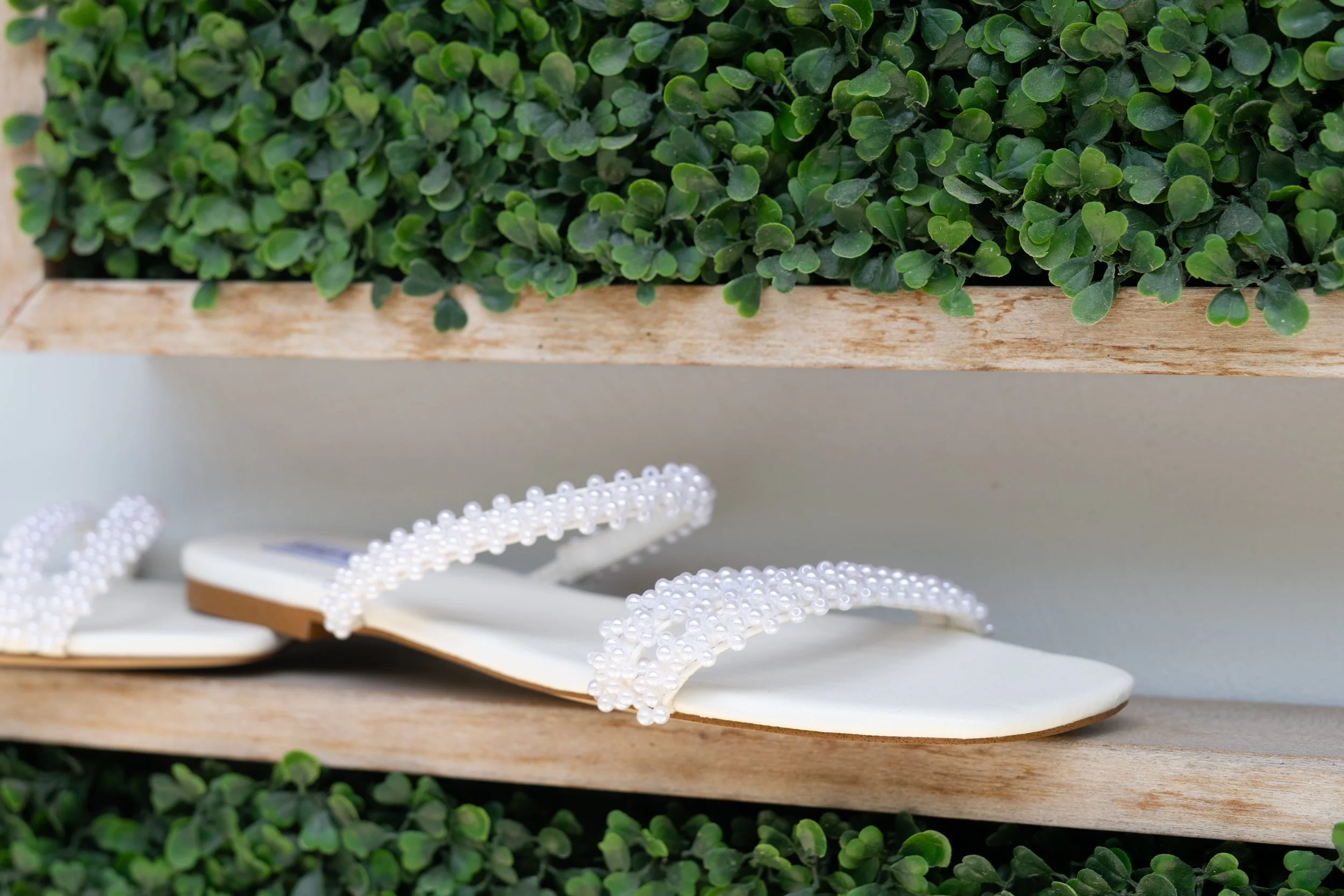 A close-up of a green, leafy plant in a wooden planter box, with pearl jewelry displayed on a book below.
