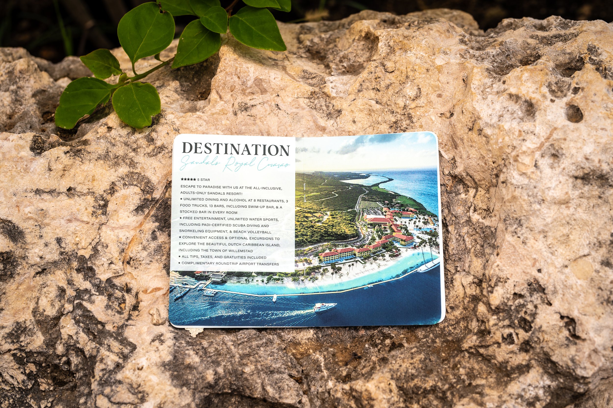 A travel brochure for a resort called Sandals Royal Caribbean, showing a scenic aerial view of a coastline with a resort, a marina, and a beach, placed on a rough stone surface with green leaves nearby.