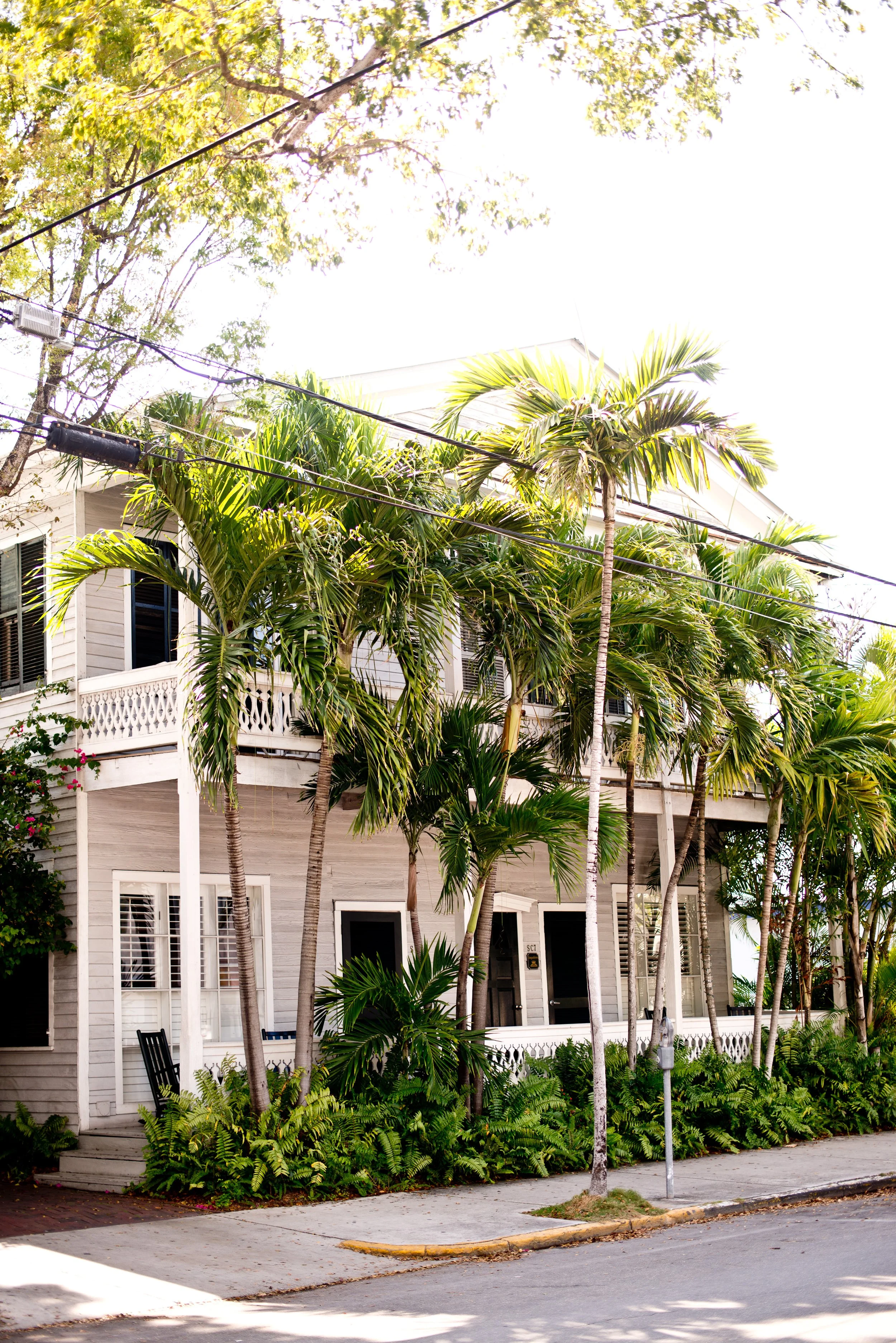A white multi-story house with a porch, surrounded by lush green palm trees and other foliage, with a sidewalk in front and a bright sky overhead.