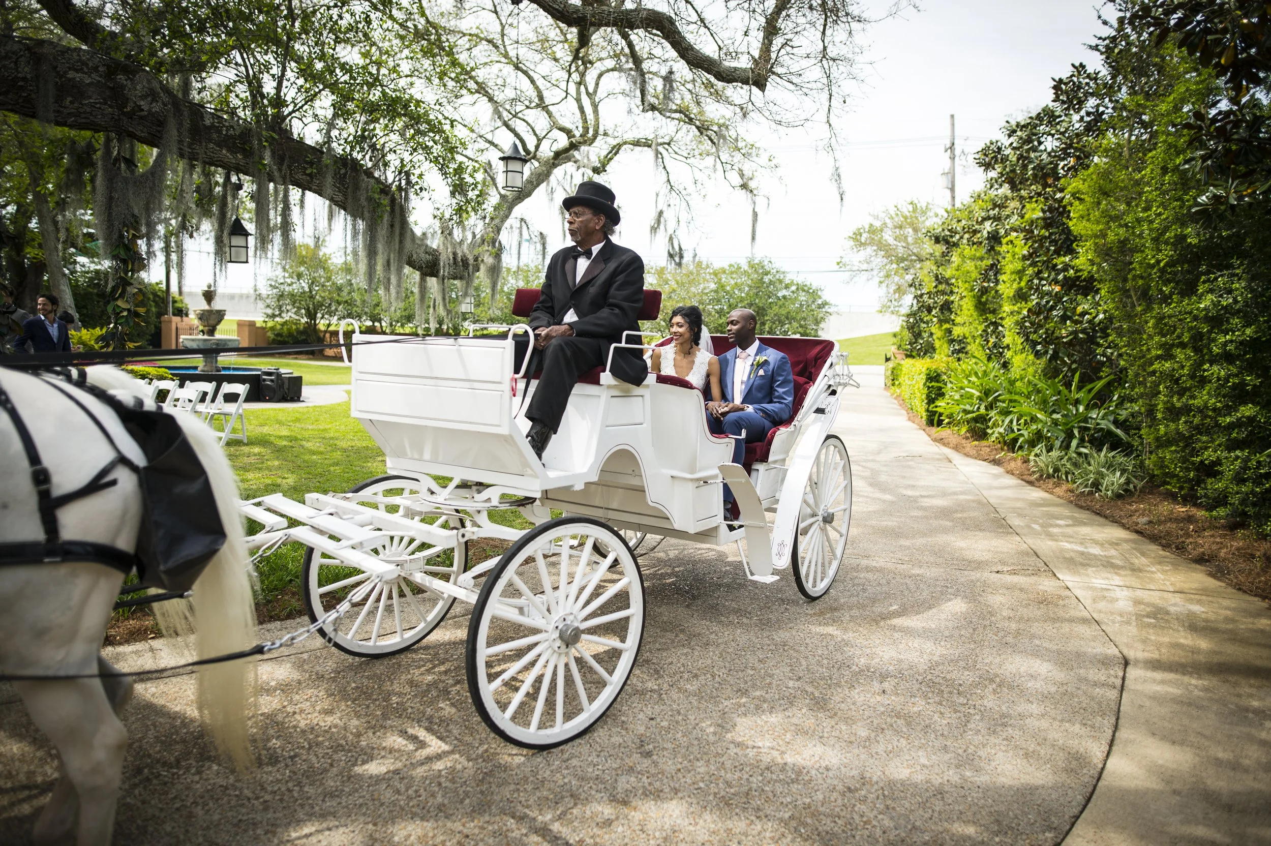 A bride and groom riding in a white horse-drawn carriage during a wedding ceremony outdoors, with greenery and trees in the background.