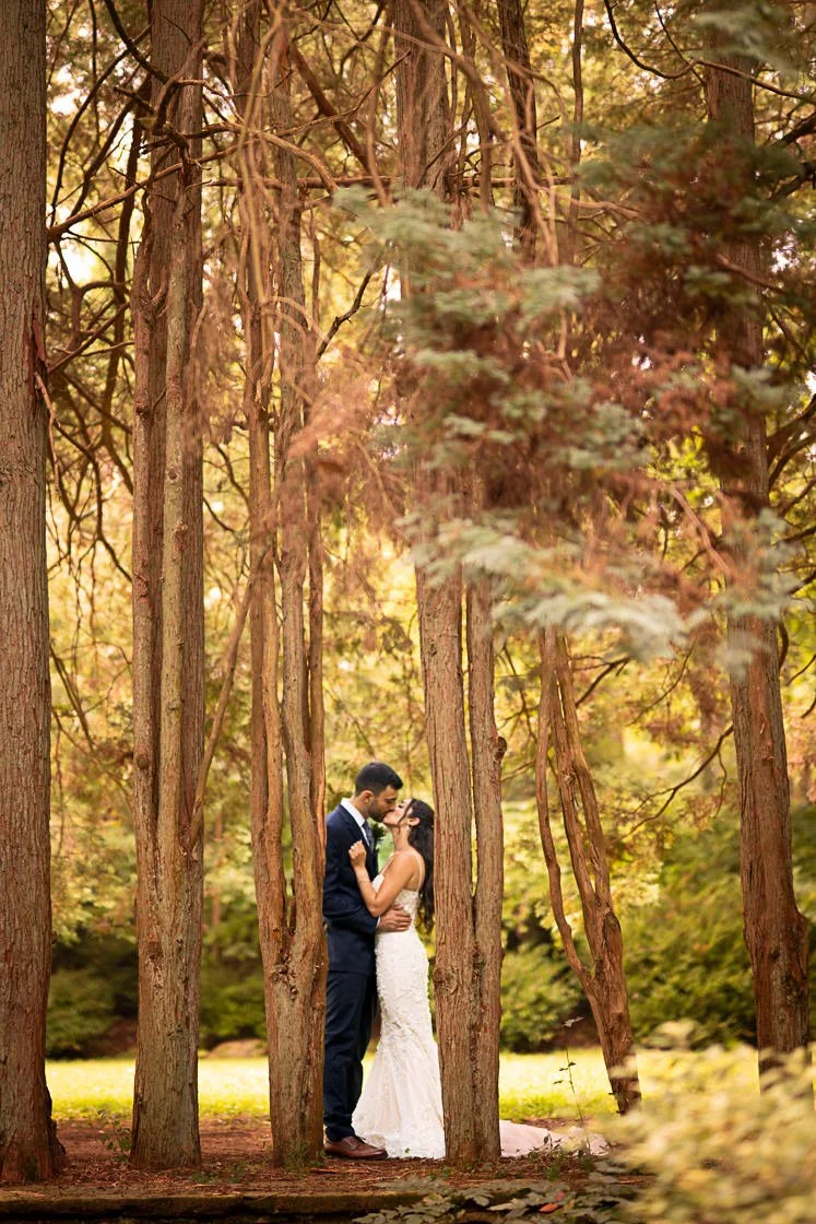 A couple in wedding attire sharing a romantic moment in a forest with tall trees and dappled sunlight.
