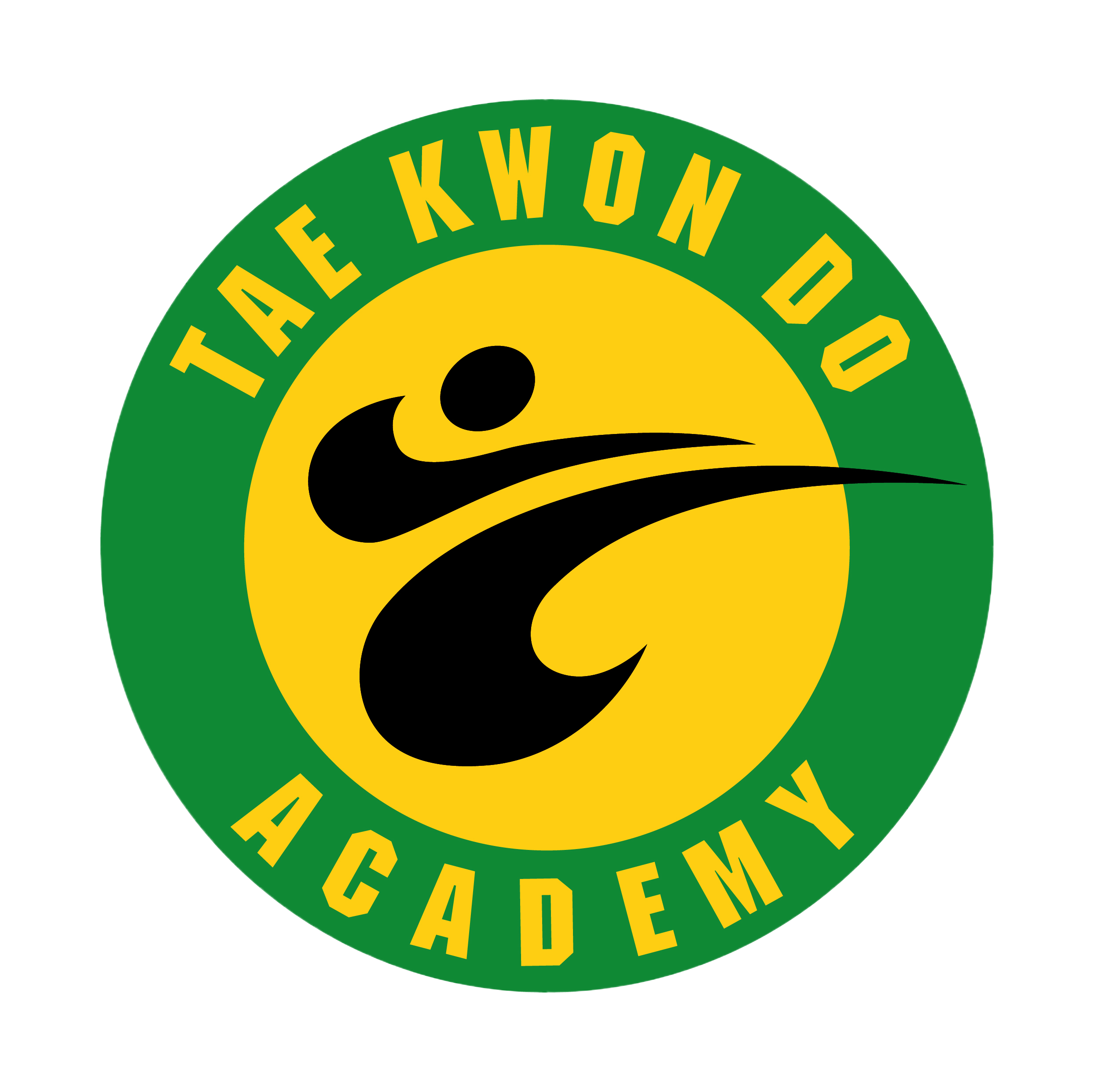 The Tae Kwon Do Academy