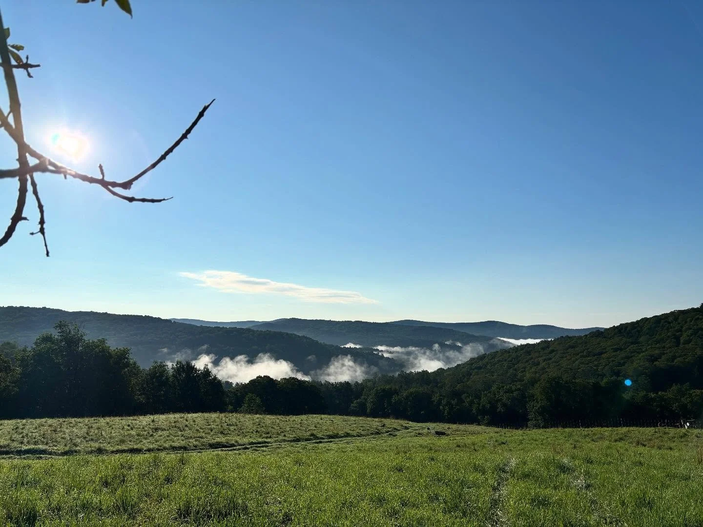 morning mist on the mountains from the West Hill 🌄  in Chelsea
&bull;
#greenmountains 
#vermontlife 
#vermontfarm