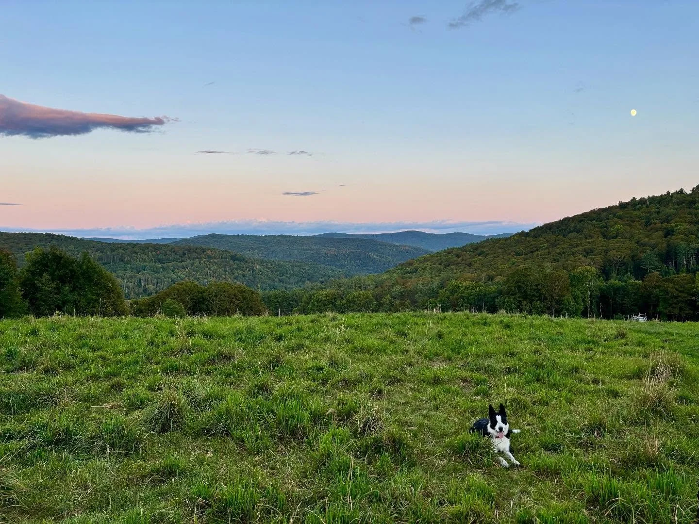 goodnight moon 🌓
&bull;
#waxingmoon 
#greenmountainstate 
#vermontfarm