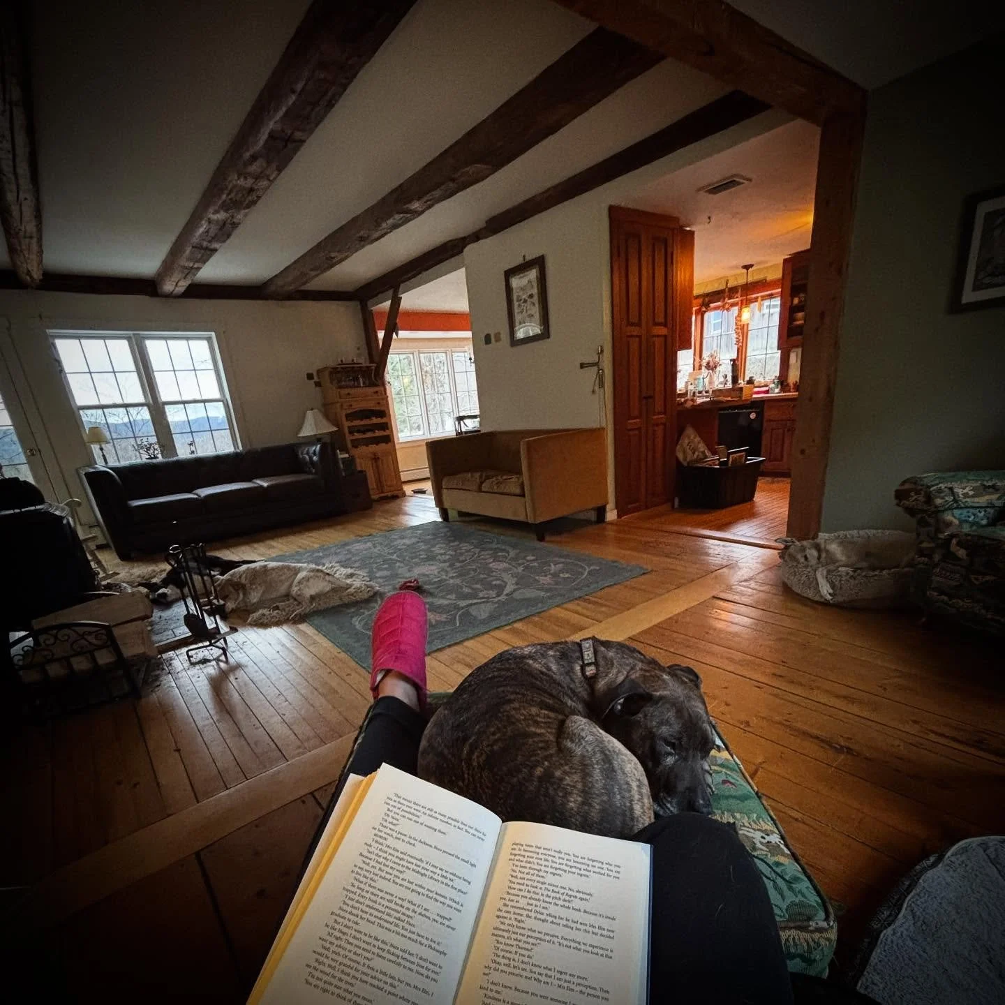 settling into a slower stick season morning routine as the days continue to get shorter
📖 ☕️ 🛋️ 🌄 🐕 🐈&zwj;⬛ 
&bull;
#stickseason
#slowmornings 
#november