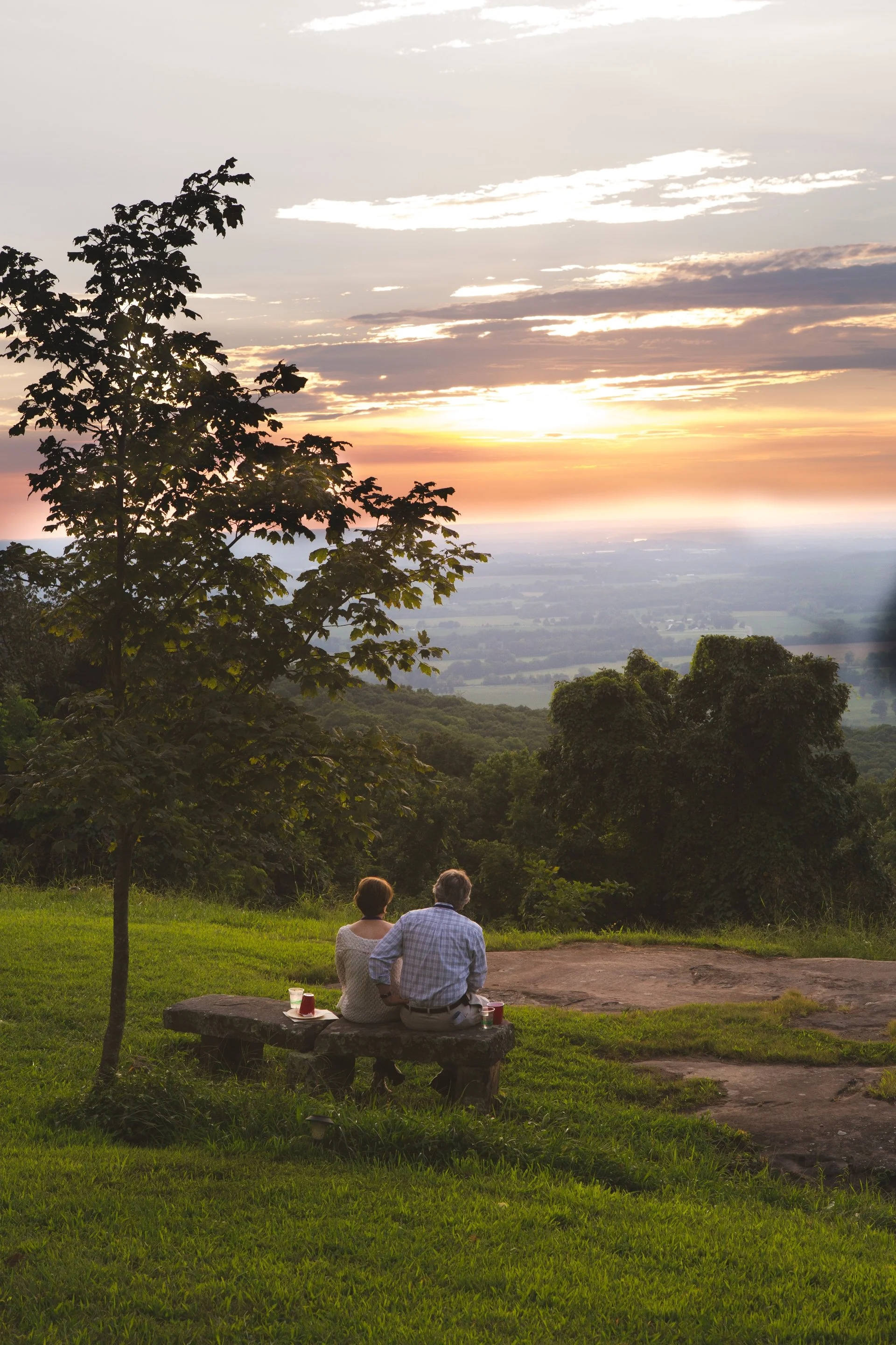 Living with Equanimity