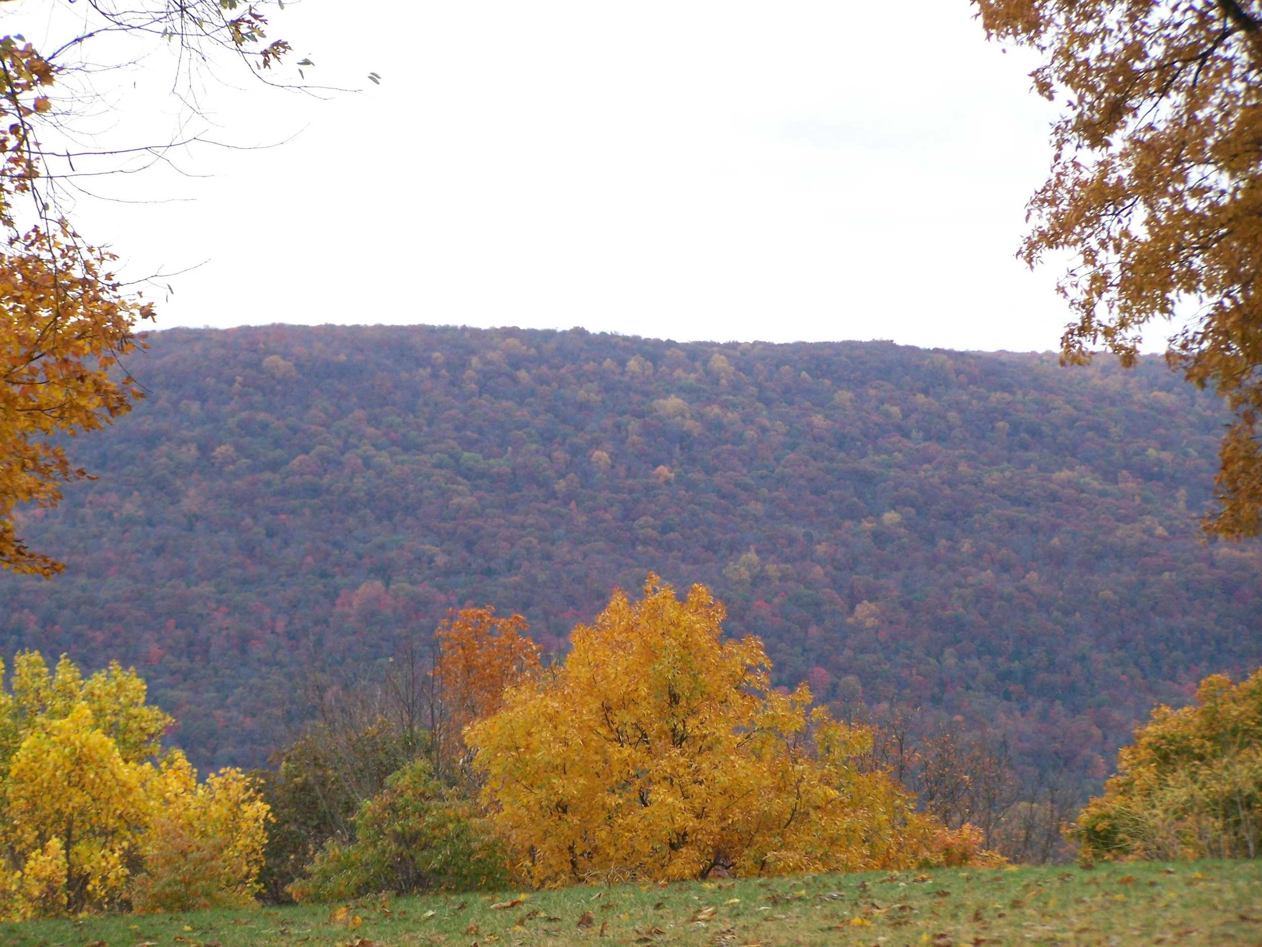 Love is Your True Nature