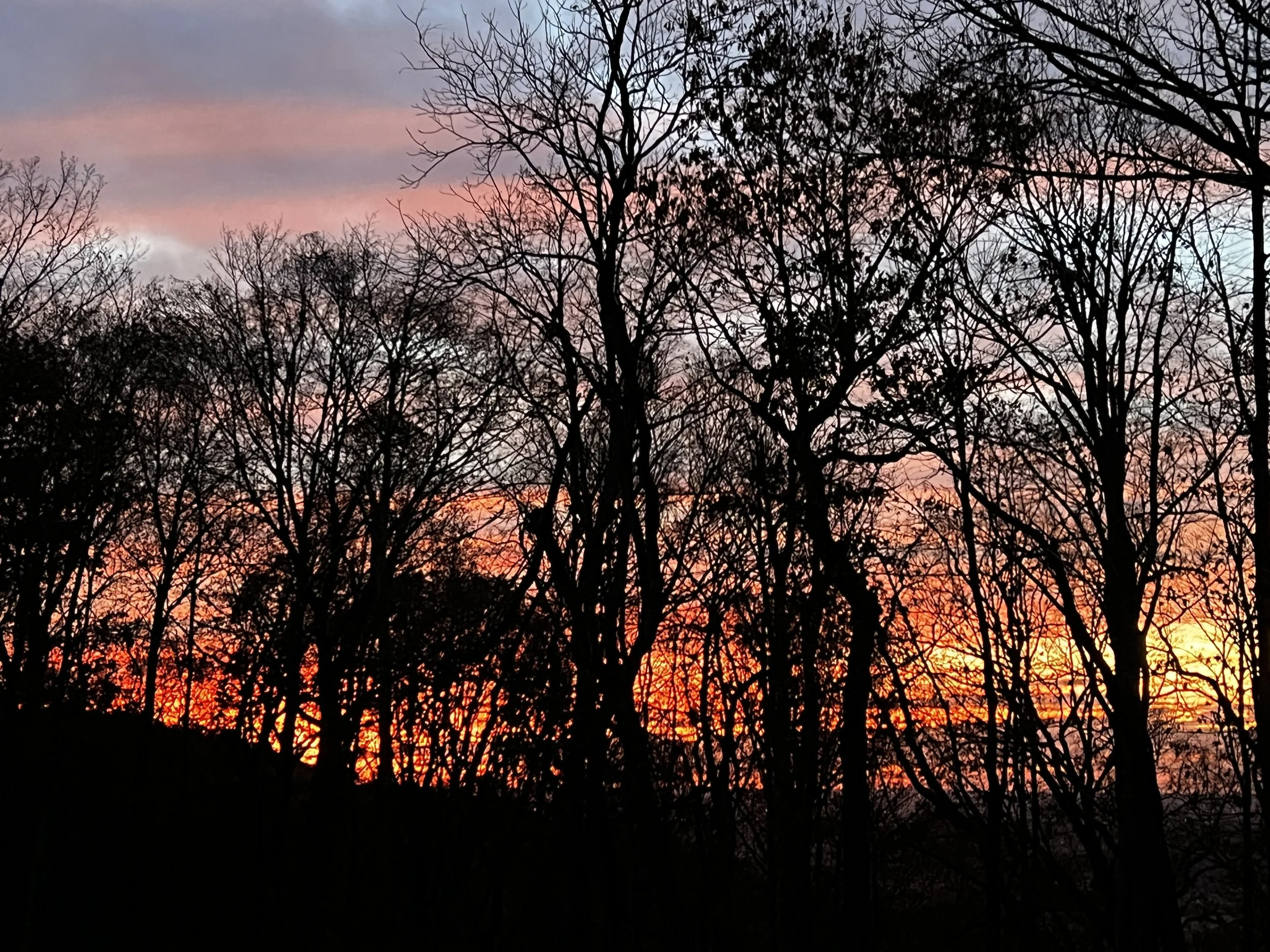 Spring Community Events