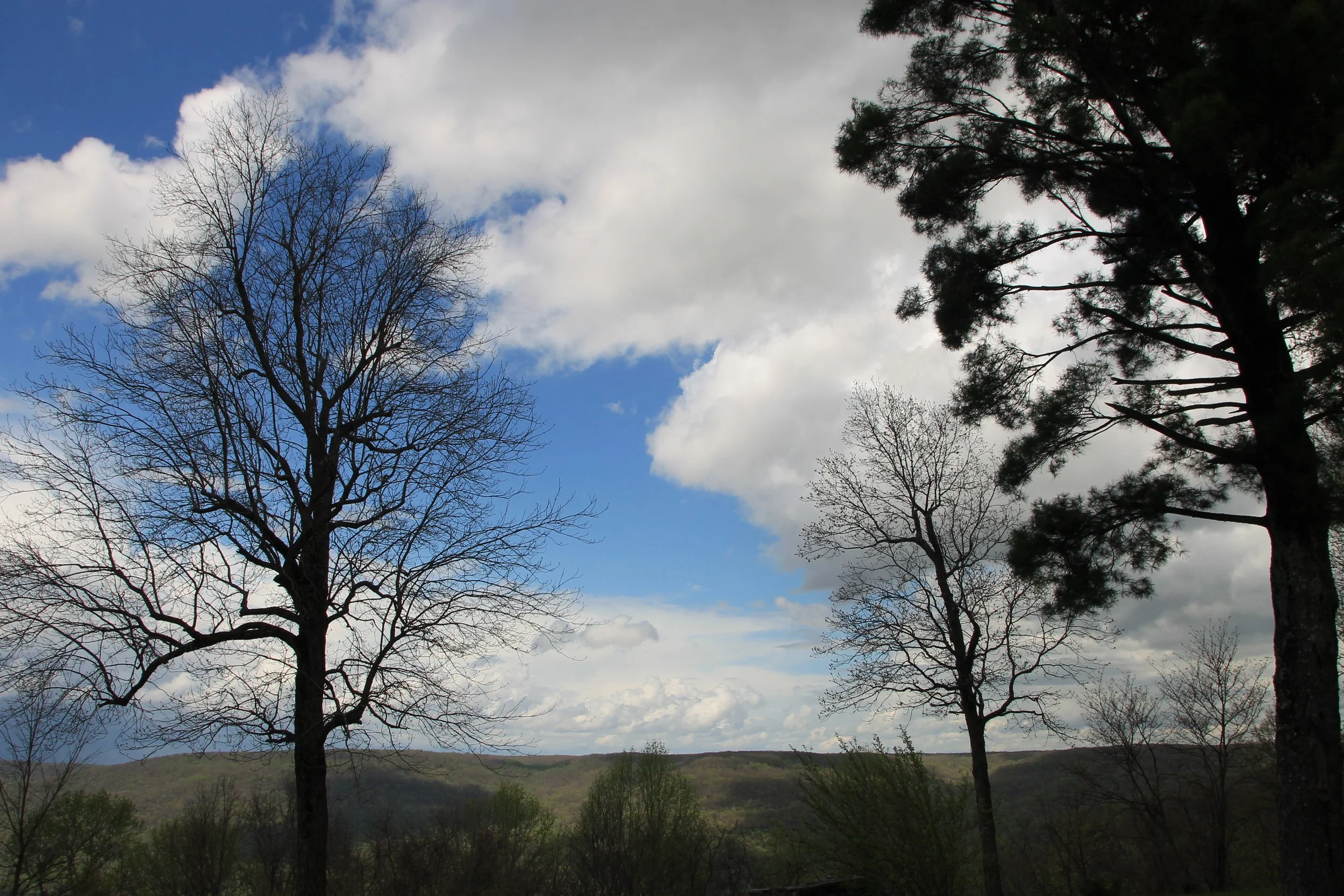 Third Sunday of Lent