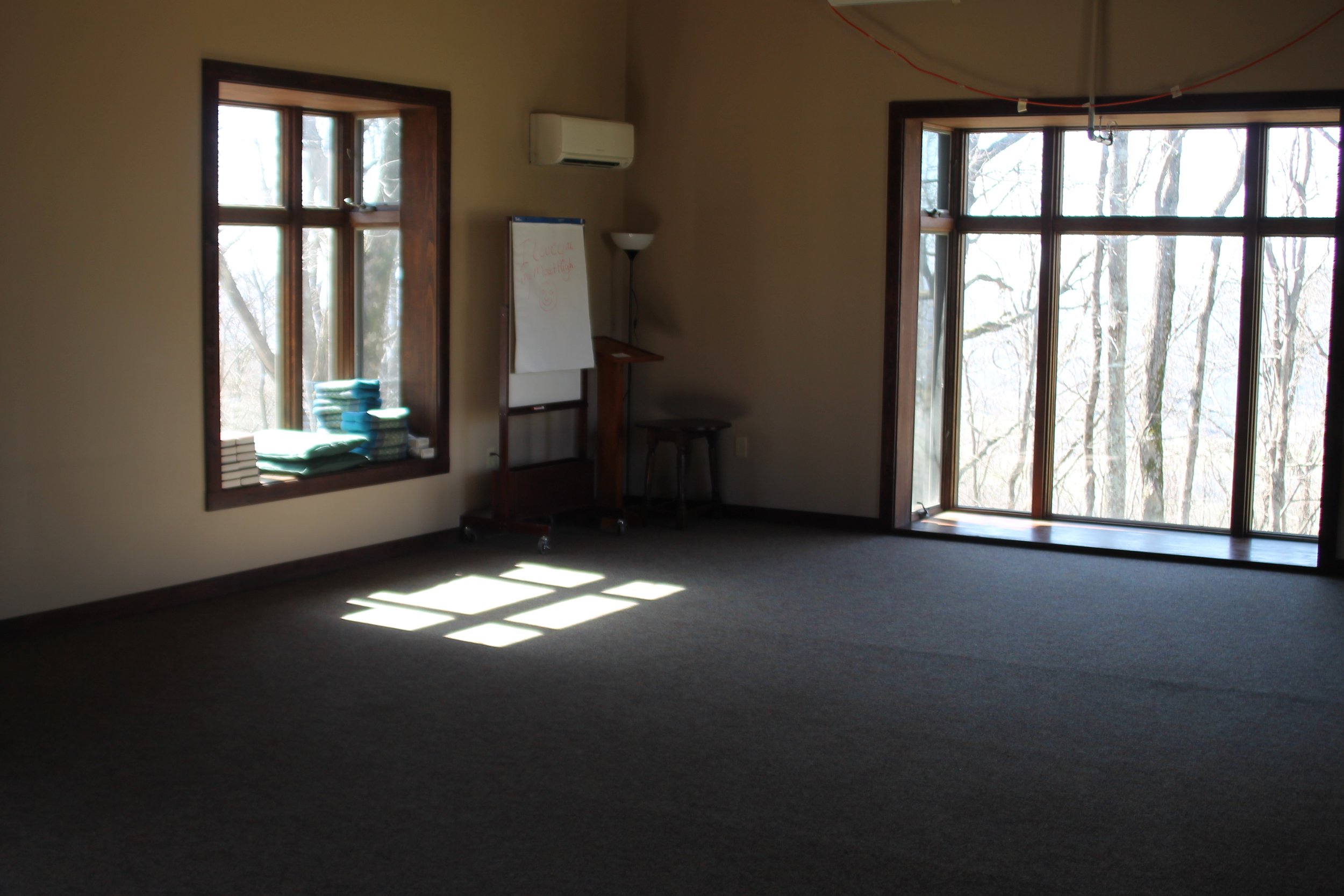 Empty room with large windows showing trees outside, sunlight casting shadows on the carpeted floor, and some stacked towels or cloths near the window.