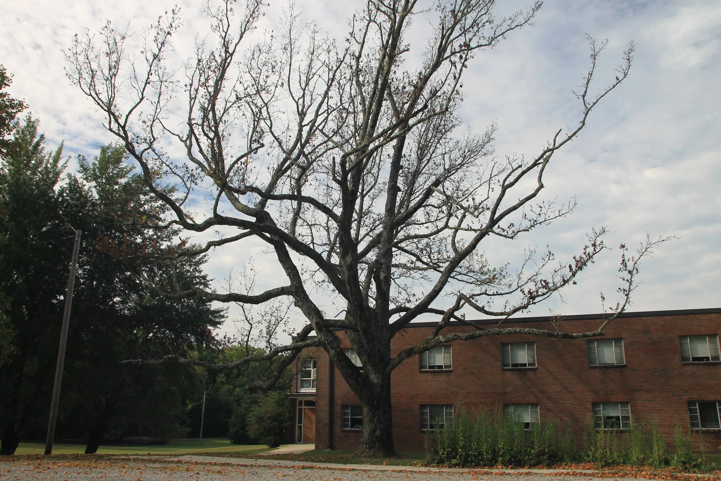 First Sunday of Lent