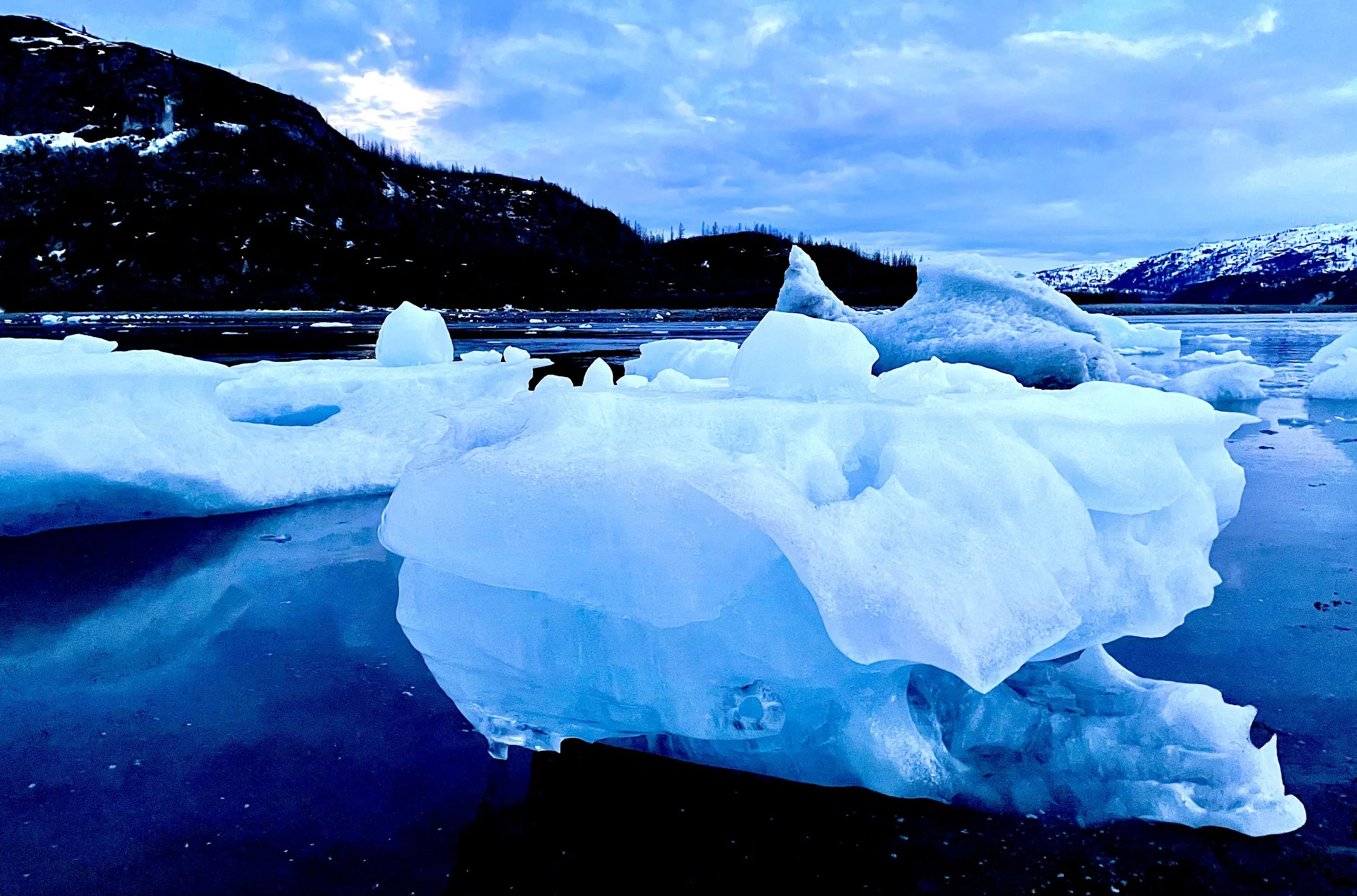 Icebergs by Moonlight | McBride Inlet, Glacier Bay National Park, Alaska