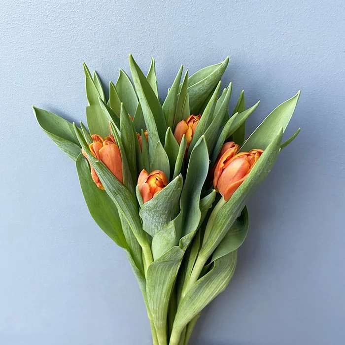 Shop Wholesale Flowers And Diy Floral Supplies Diy Flower Mart