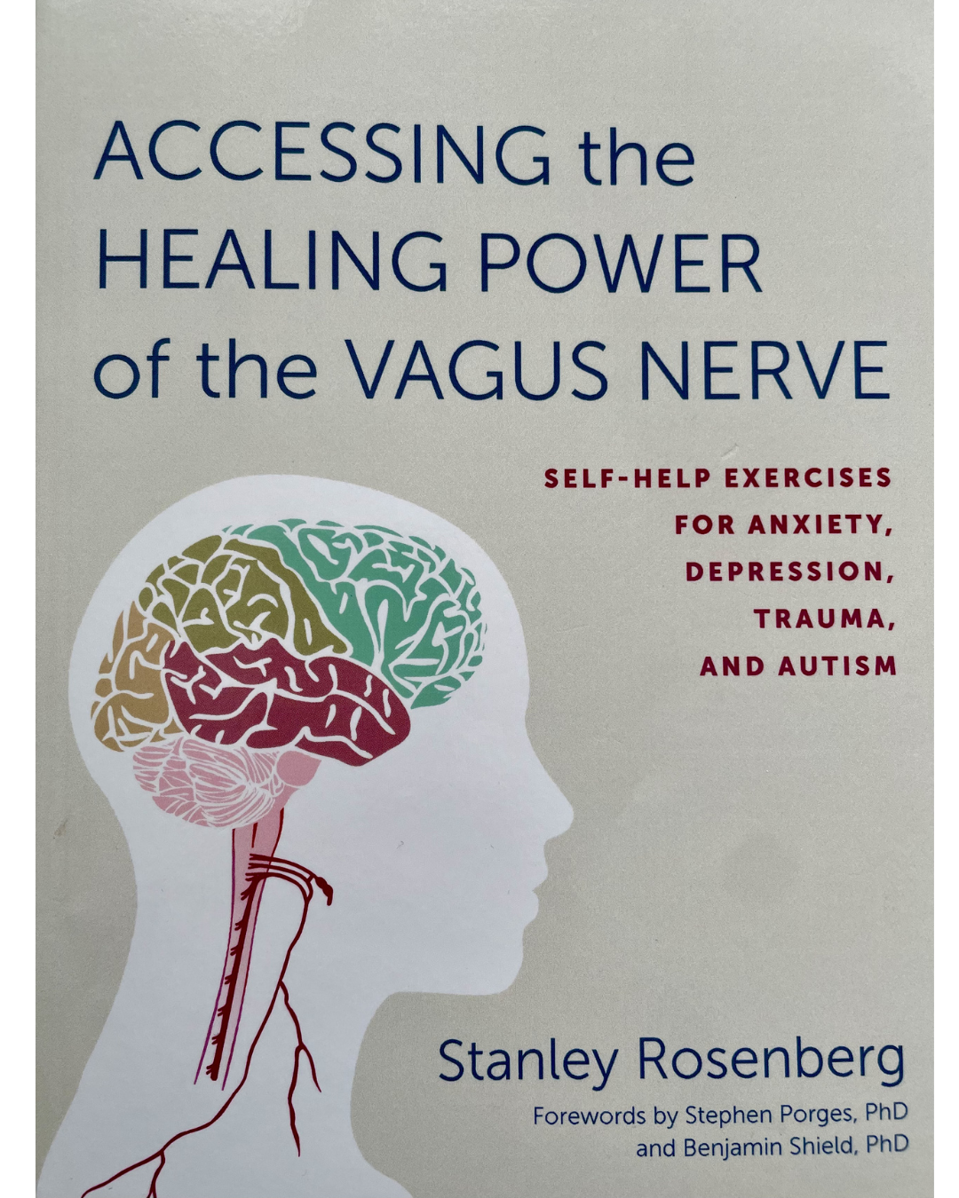 Book cover of Accessing the Healing Power of the Vagus Nerve by Stanley Rosenberg, referenced in trauma therapy for adults in North Carolina