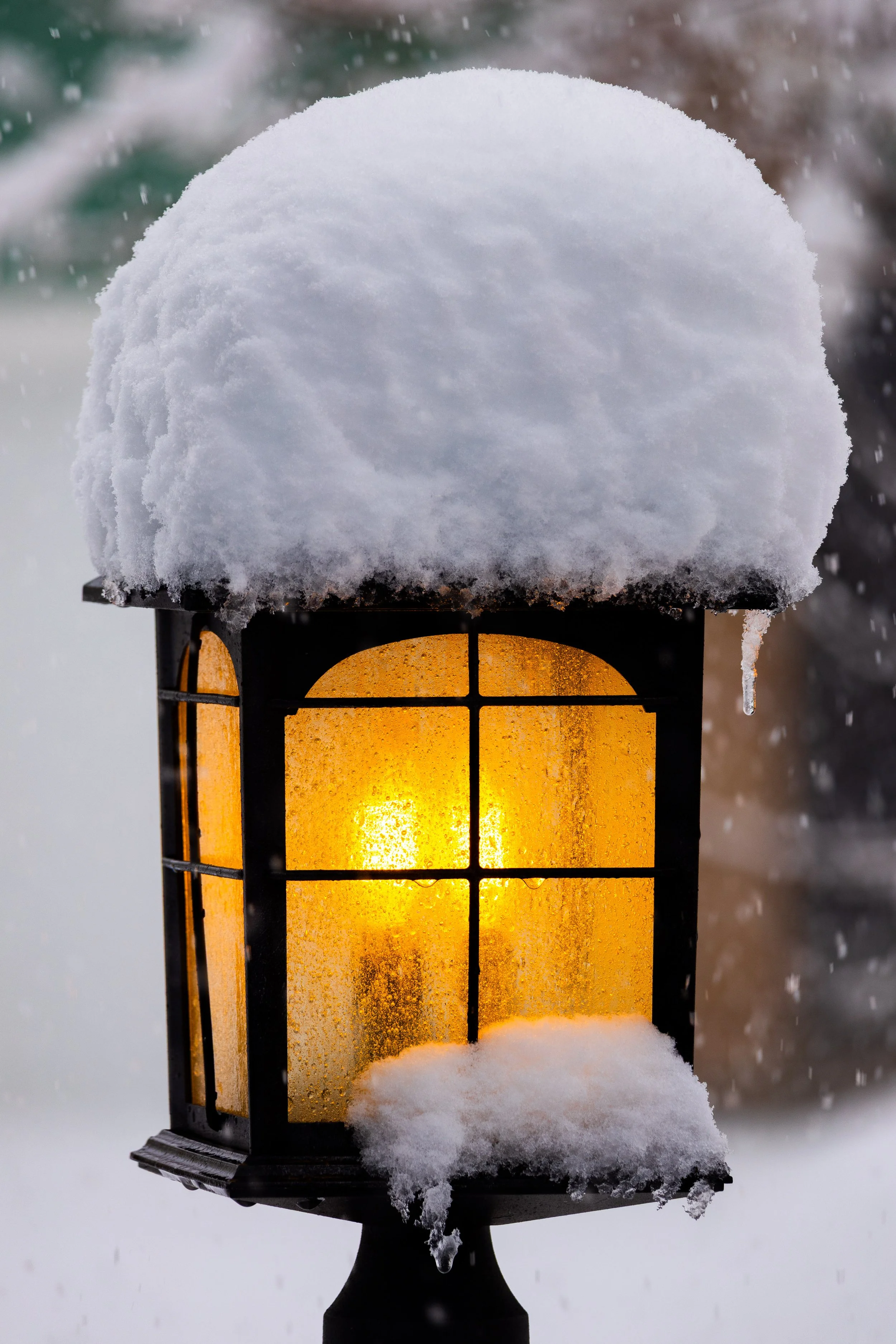 Cold light.jpg