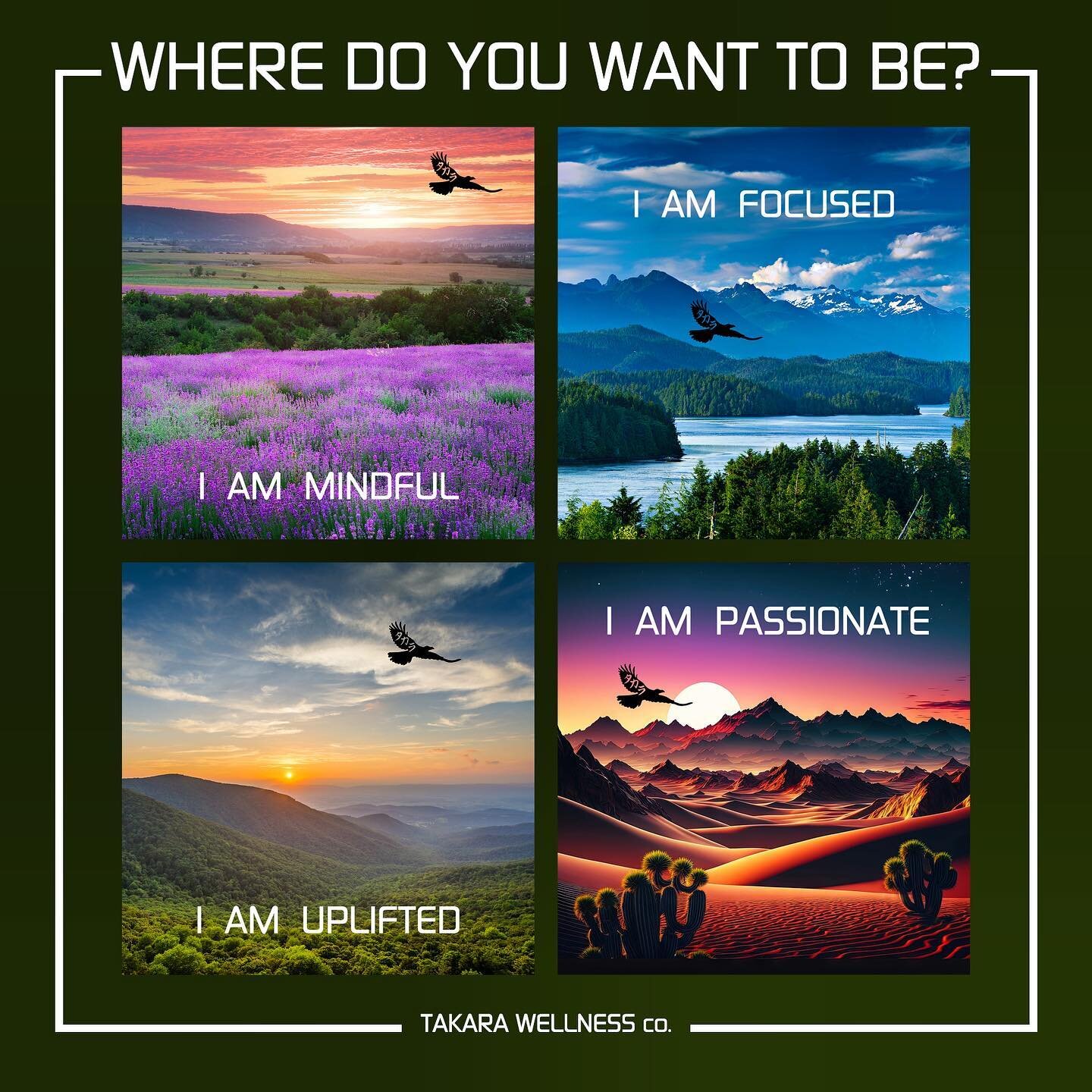 WHERE DO YOU WANT TO BE?

These images and/or phrases represent the intentions of some of my oil blends. If you find yourself wanting to be in one of these photos with the correlating phrase in mind&hellip; perhaps you should come try out that oil bl
