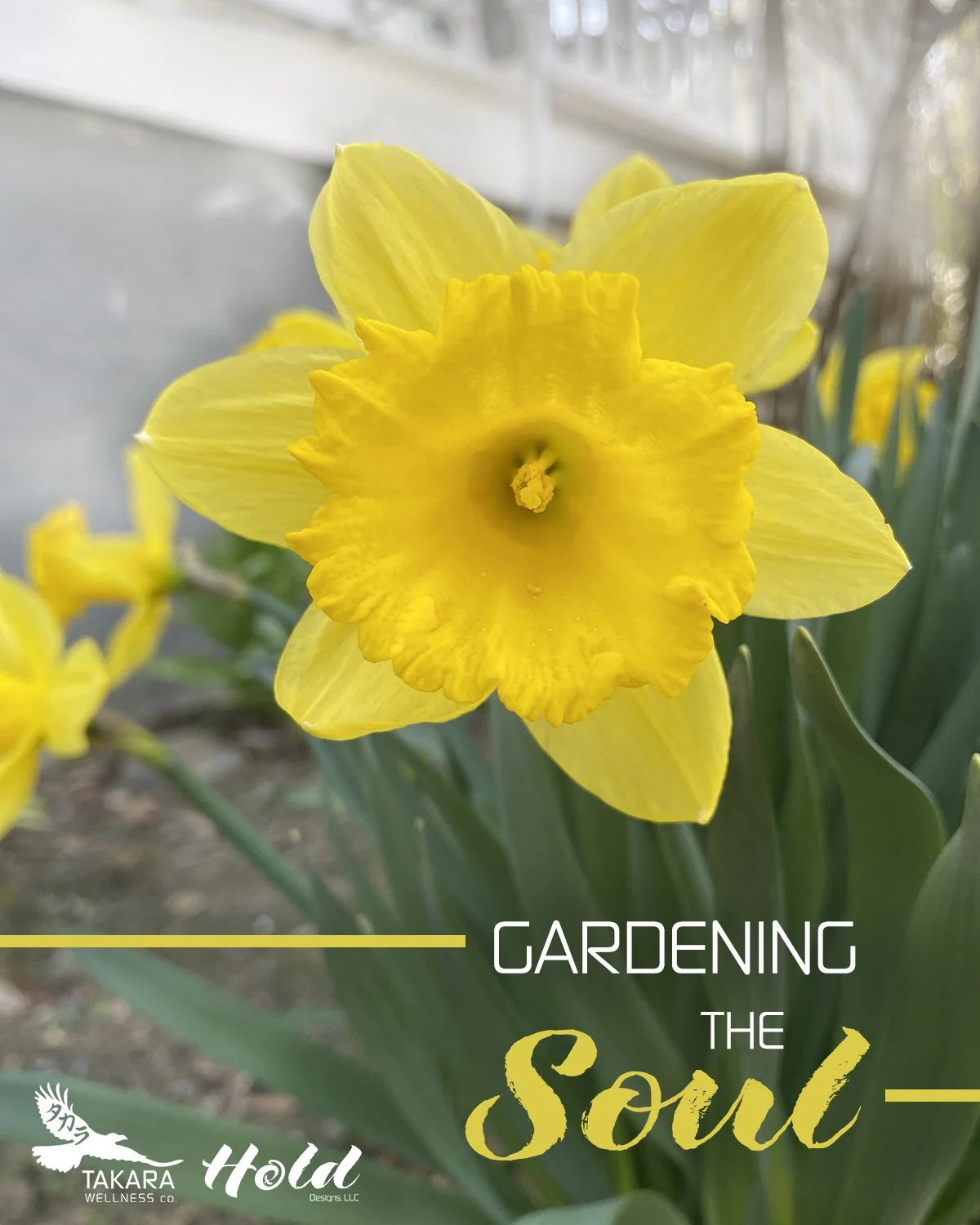 Gardening the Soul 🌱🌞