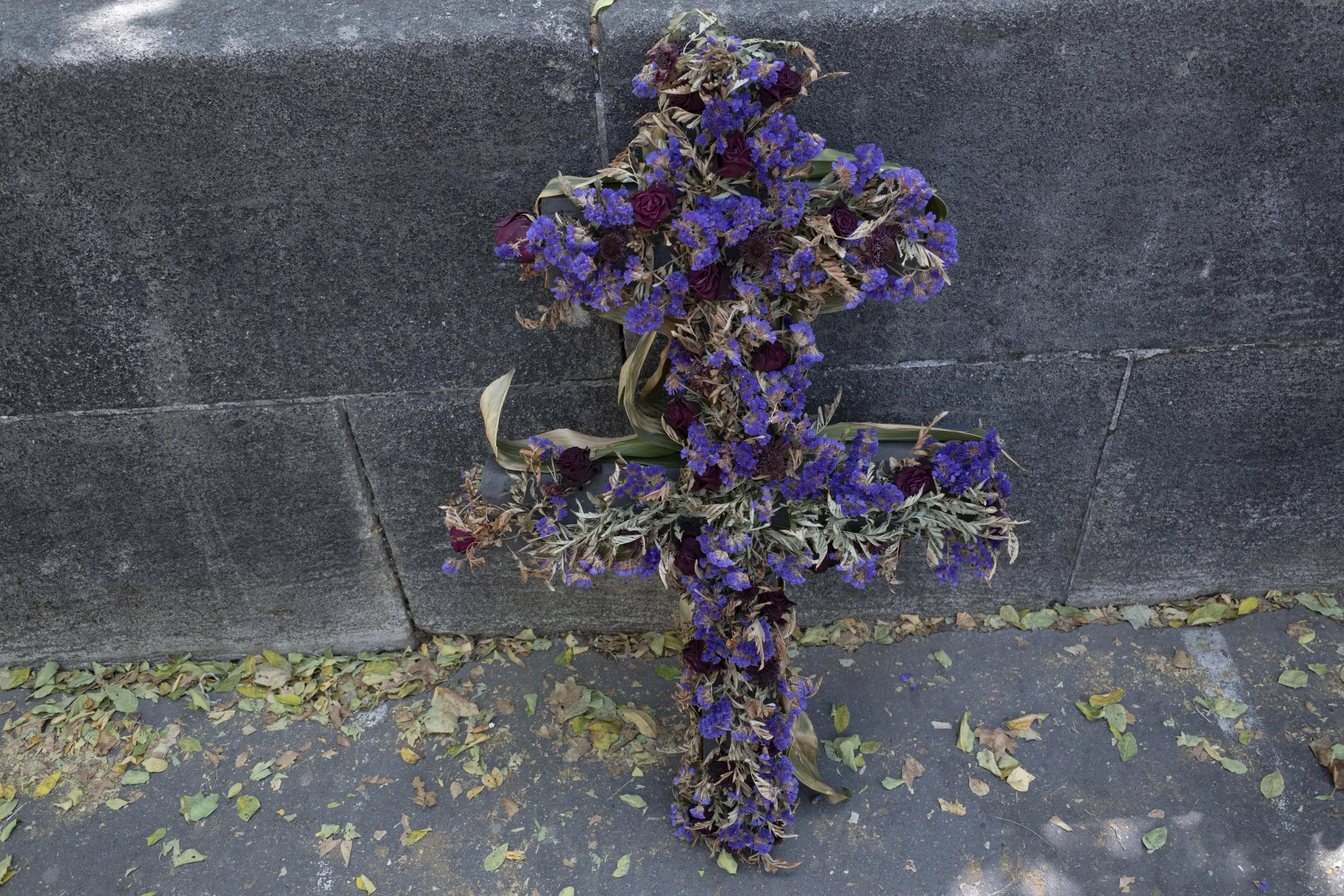 R0014627.JPG