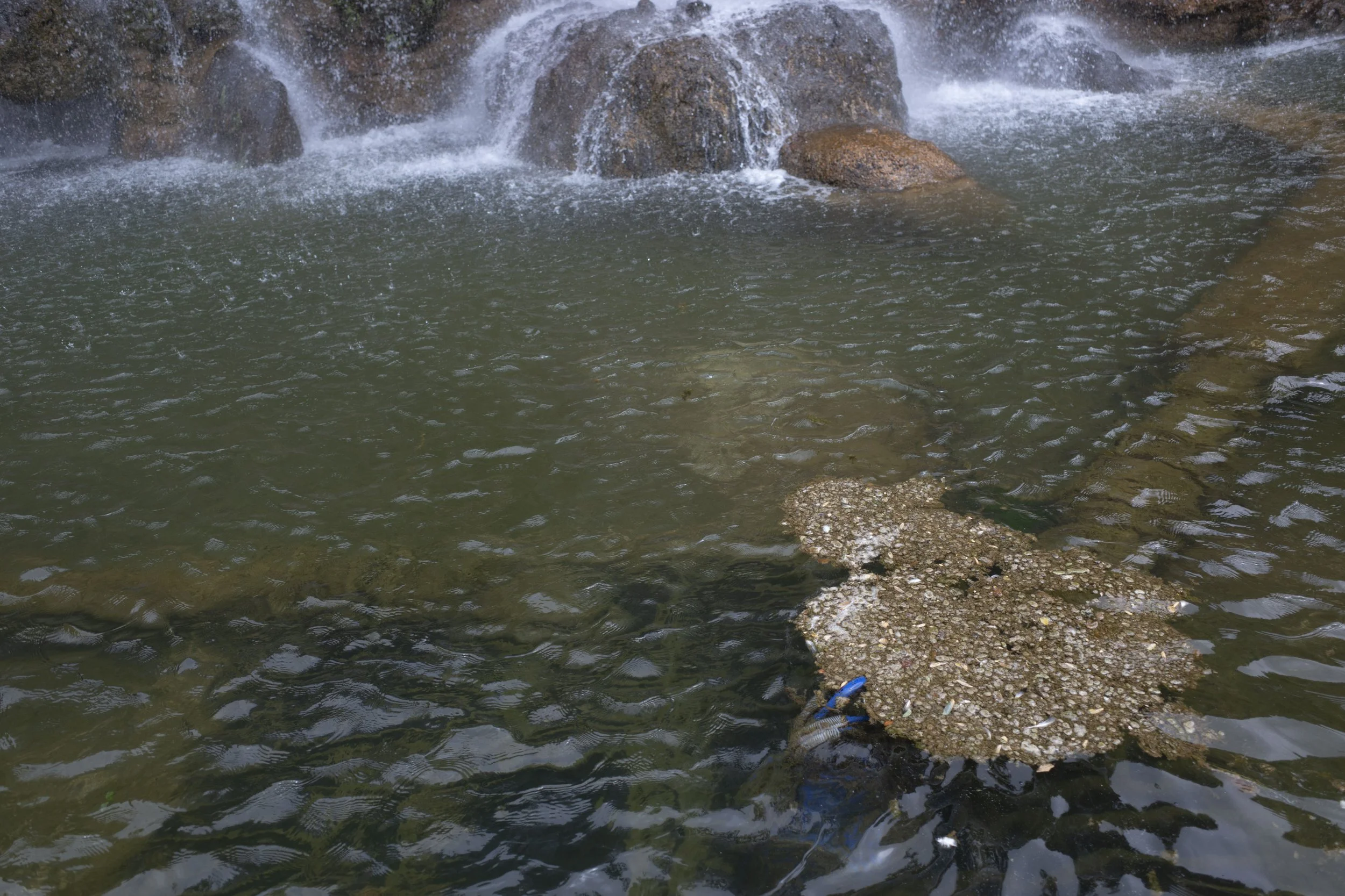 R0013759.JPG