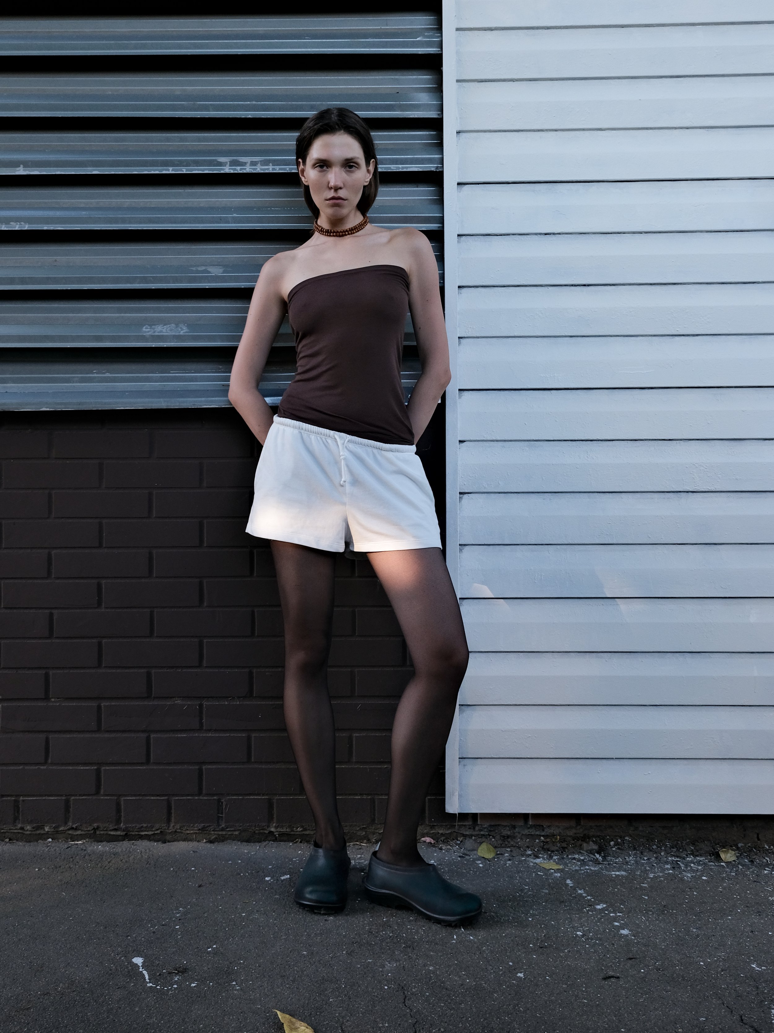 1brown-1.jpg