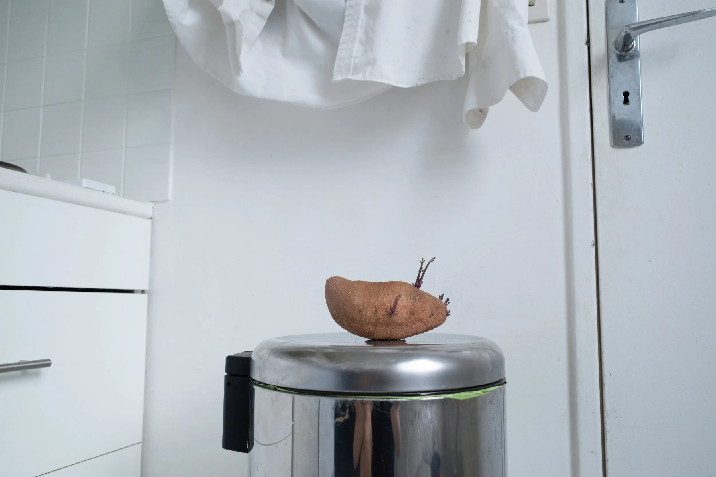 POTATO-1.jpg