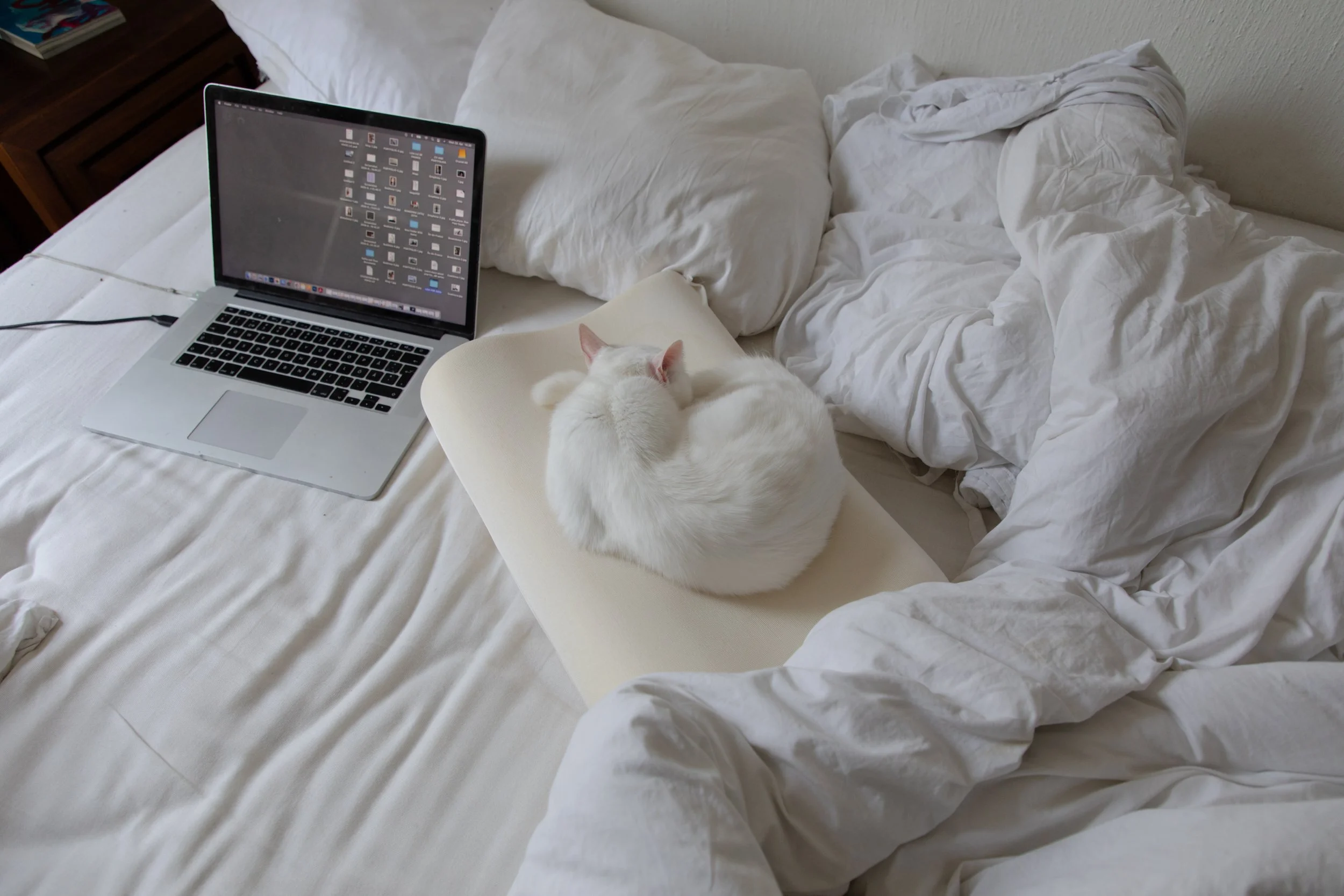 DearDiary-7.jpg