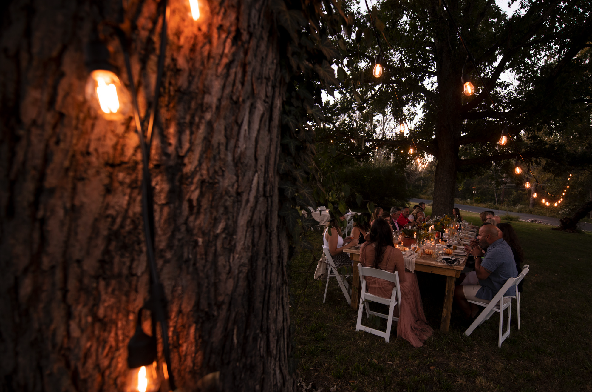 Guests sharing dinner outdoors under string lights during an intimate countryside wedding.