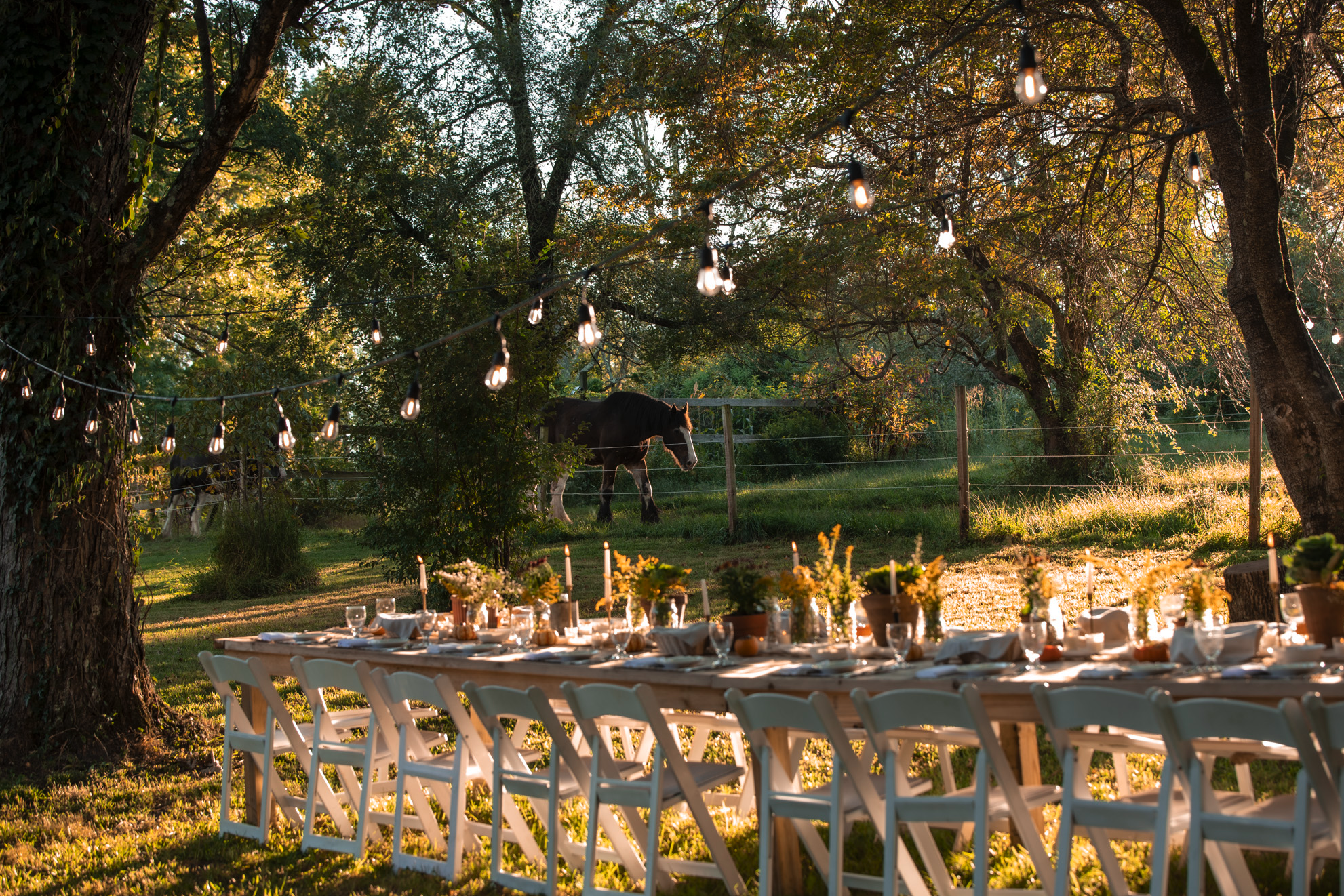 Outdoor wedding reception tables beside a pasture with horses in a peaceful countryside setting.