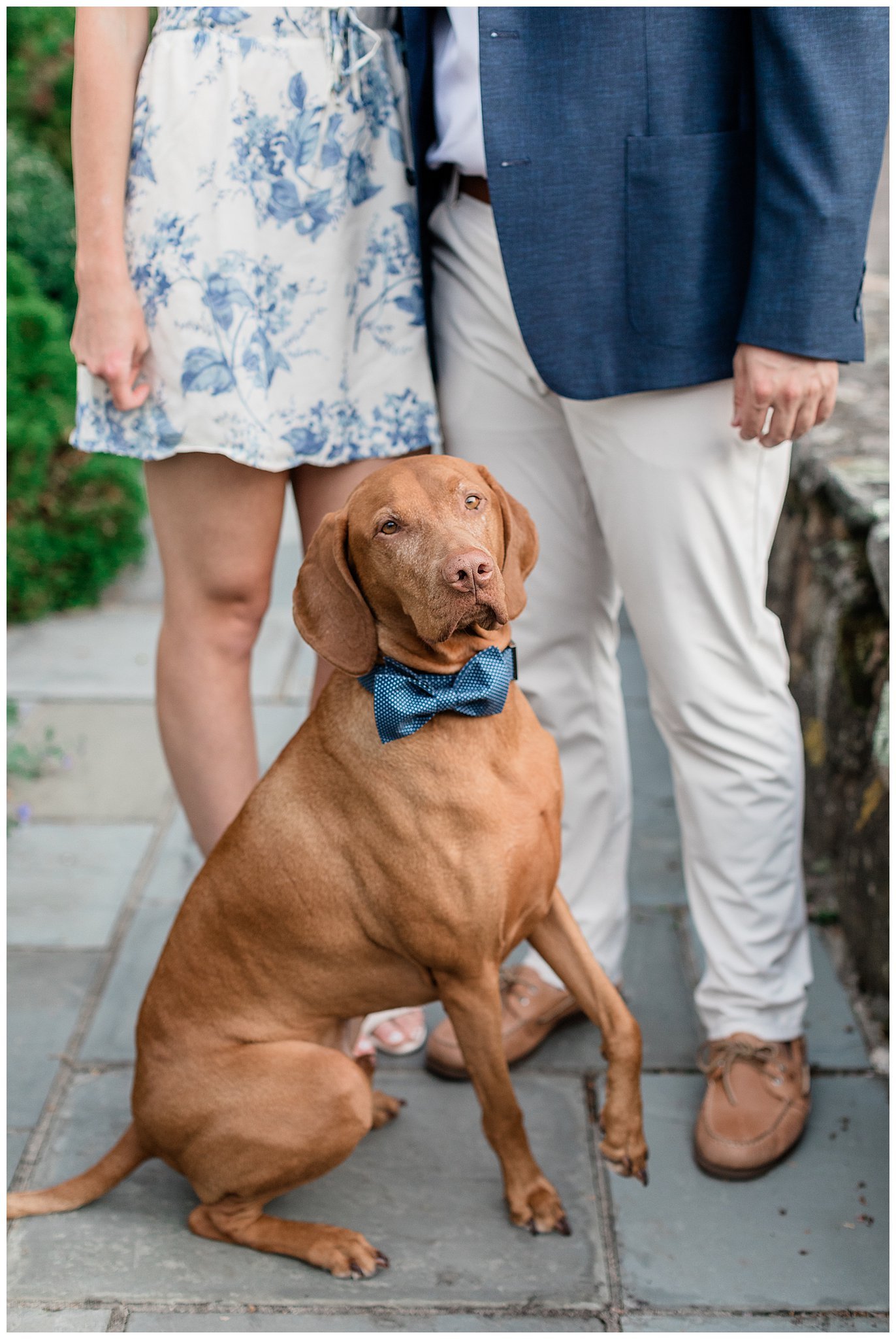 patrick-ahearn-home-architecture-cape-cod-engagement-meredith-jane-photography_-photo_1645.jpg