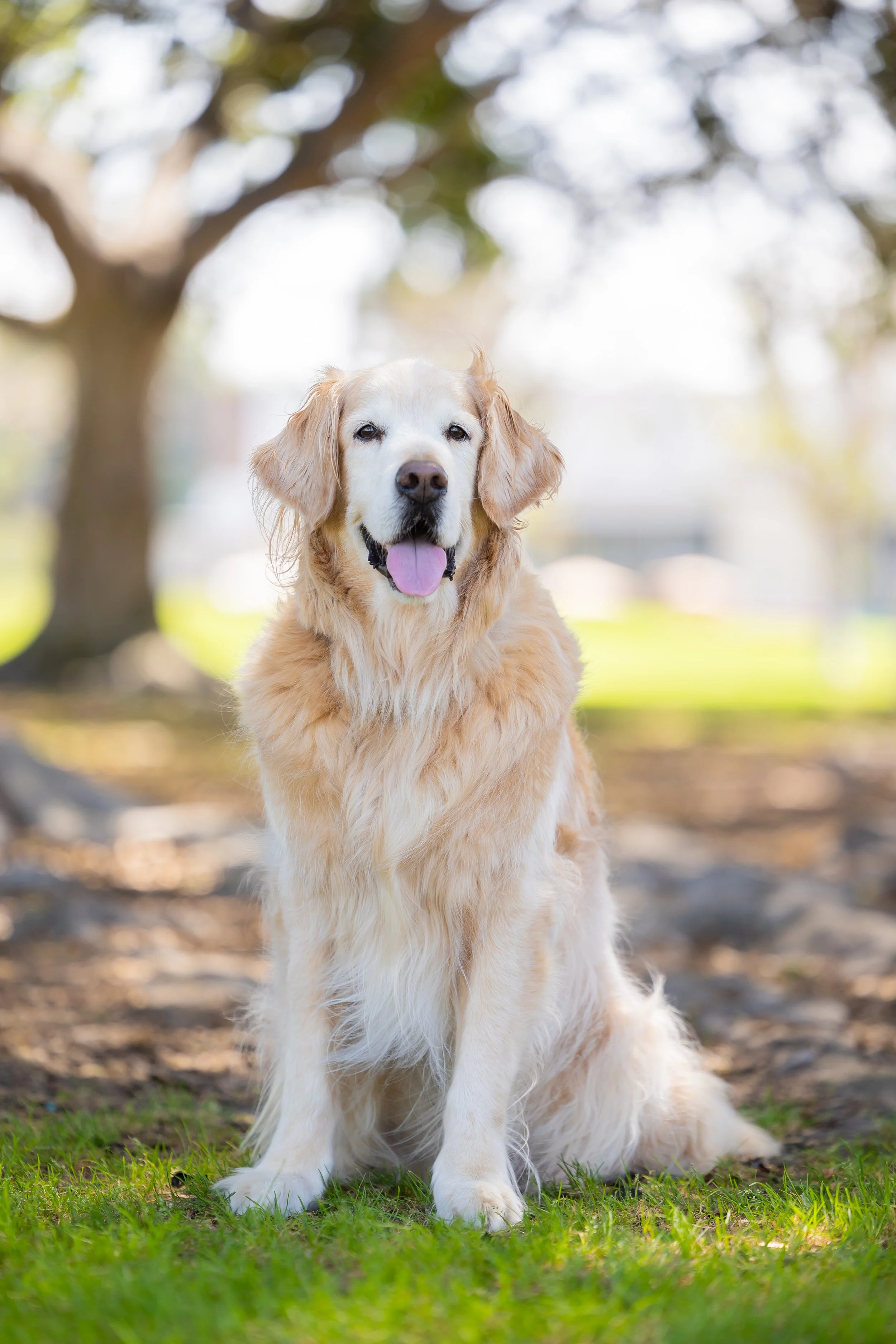 ocanimalallies-8199.jpg