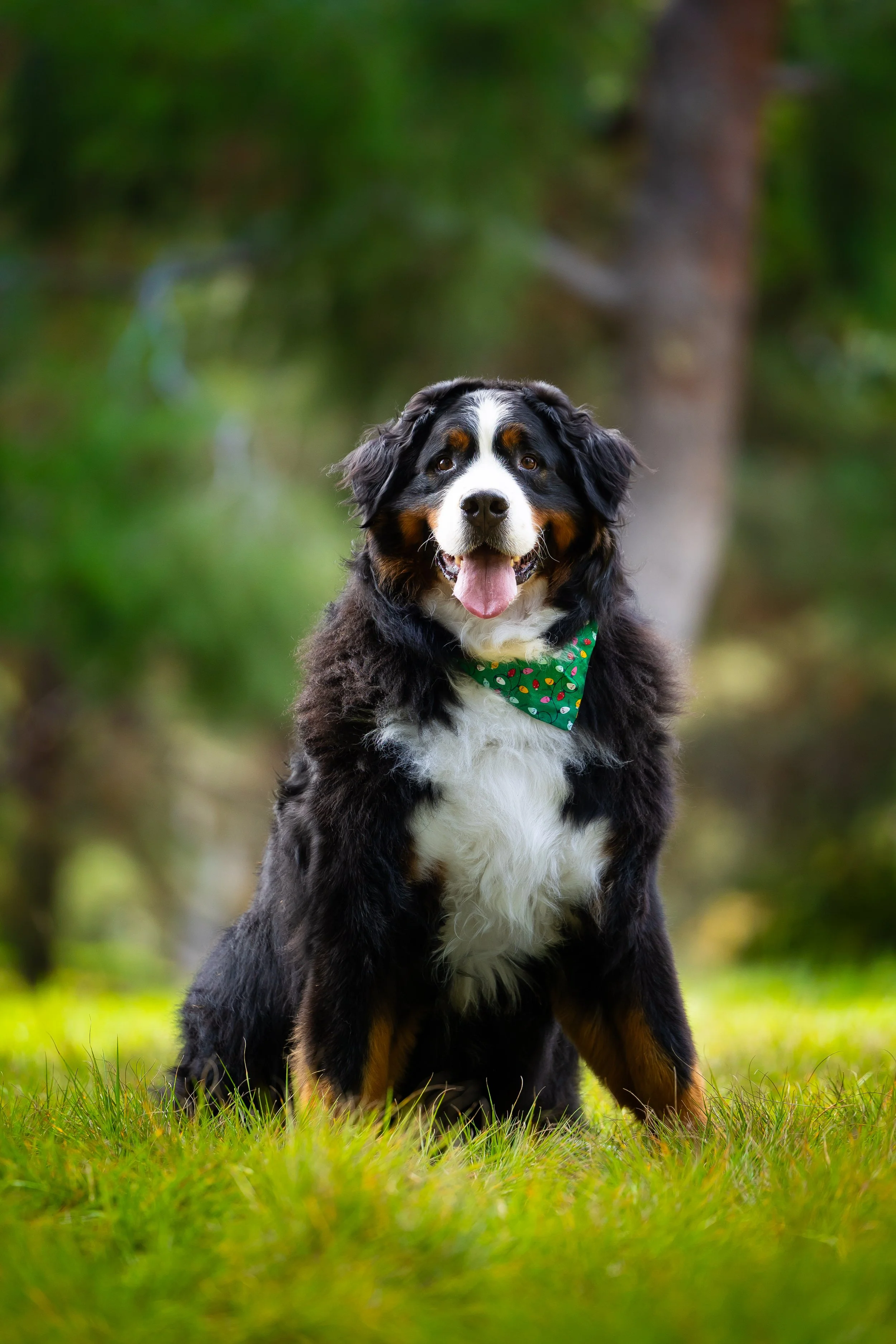 hucko-69143.jpg