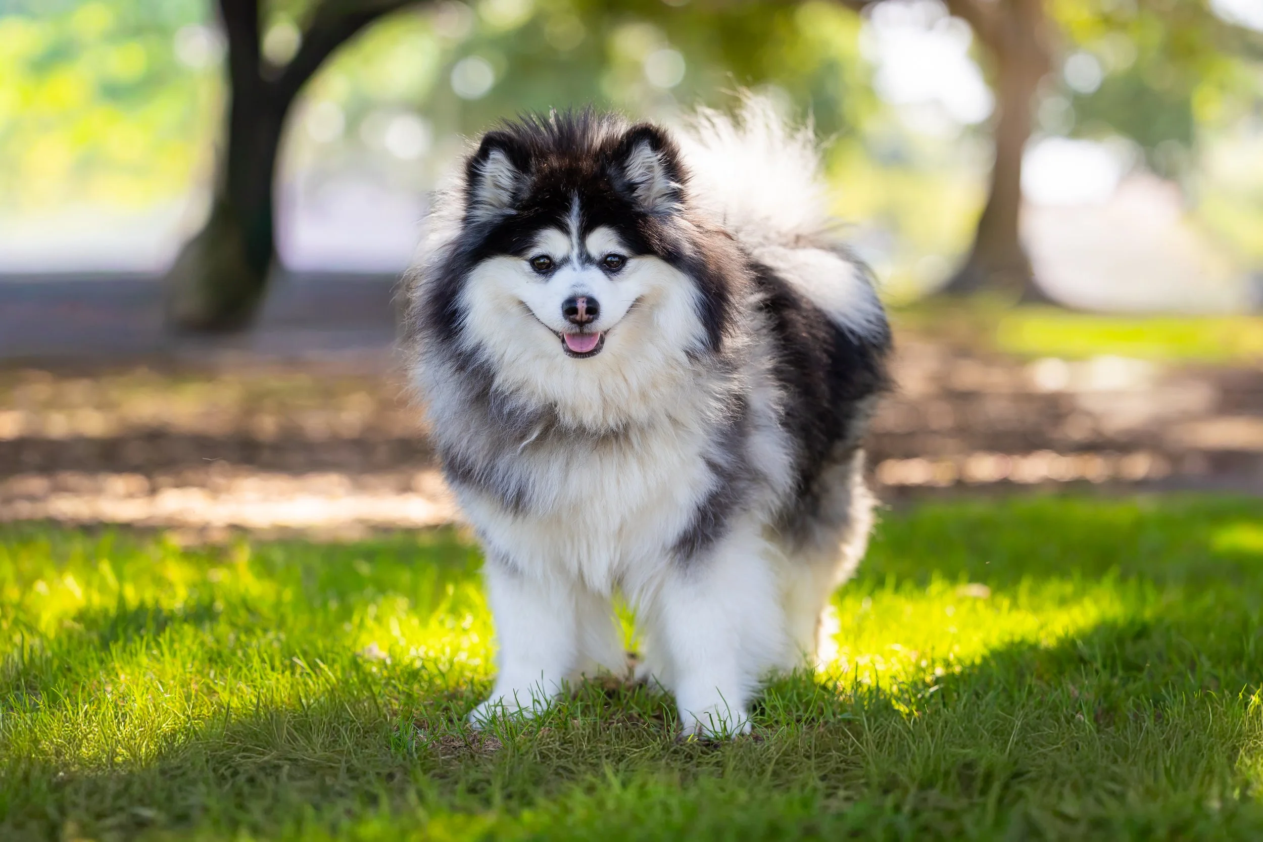 ocanimalallies-8321.jpg
