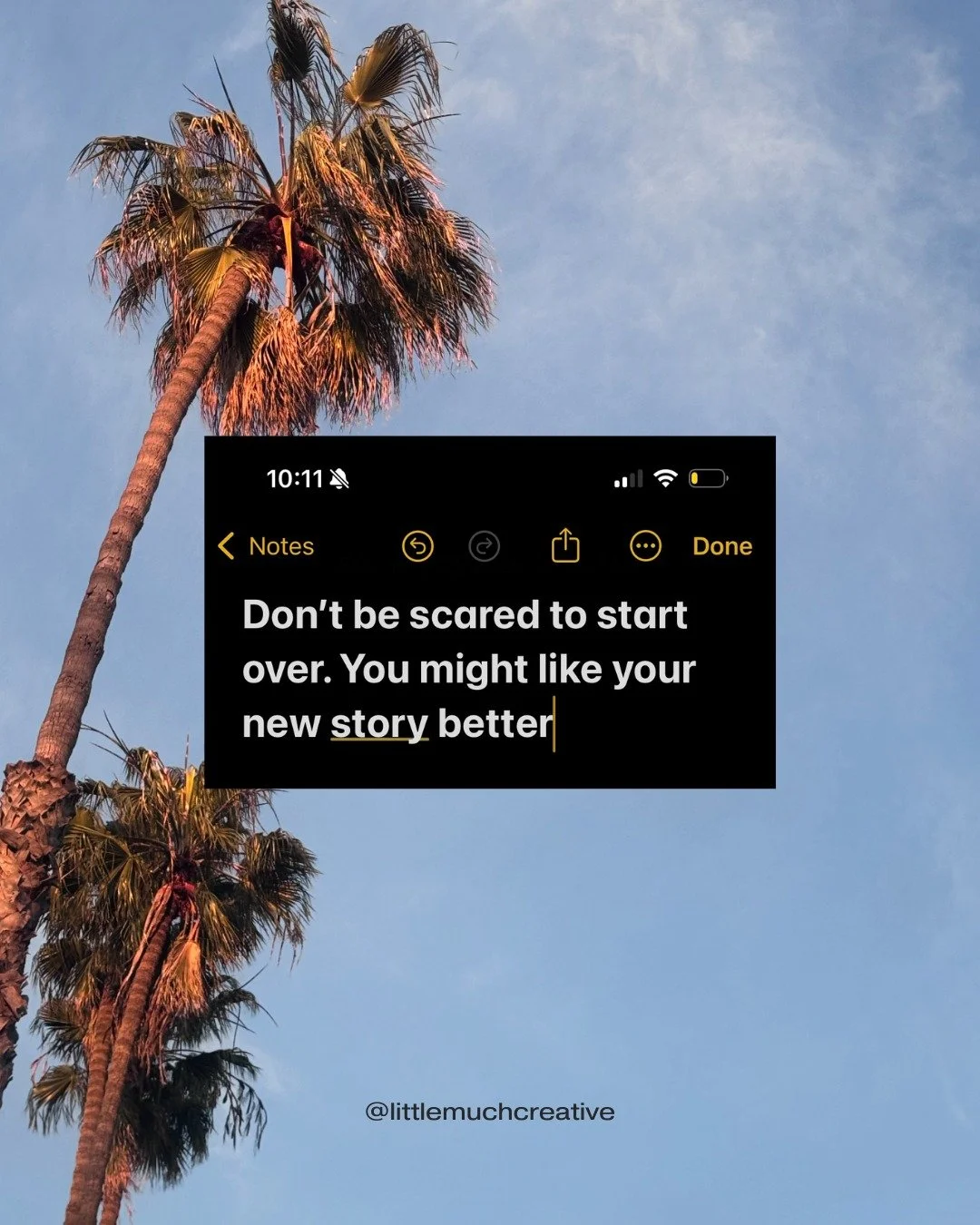 Take what you need 🫶

✦ Don't be scared to start over. You might like your new story better.
✦ The day you plant the seed is not the day you eat the fruit.
✦ Everyone will tell you something different, so just do it your own way.
✦ Rest is part of t