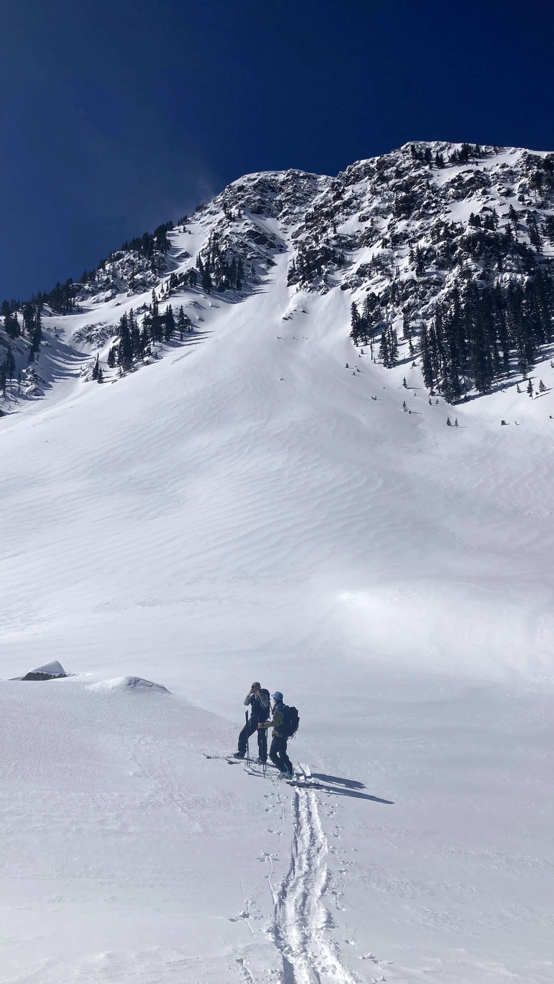 Skinning in the wilderness above Williams Lake