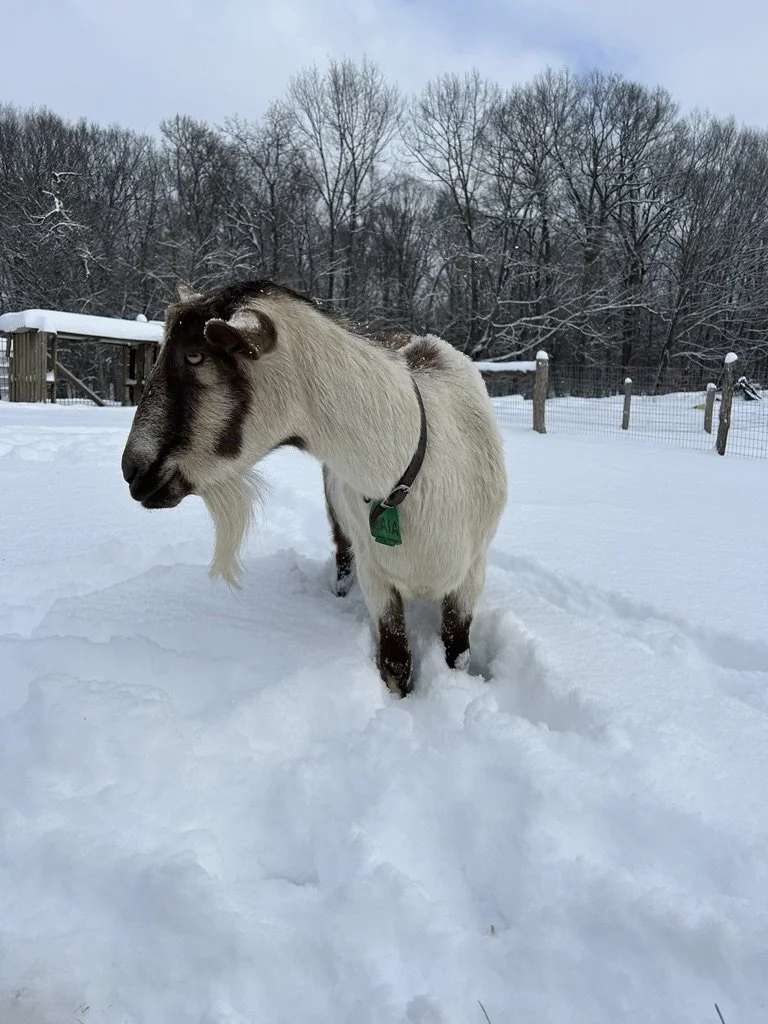Climbing out of the cold
