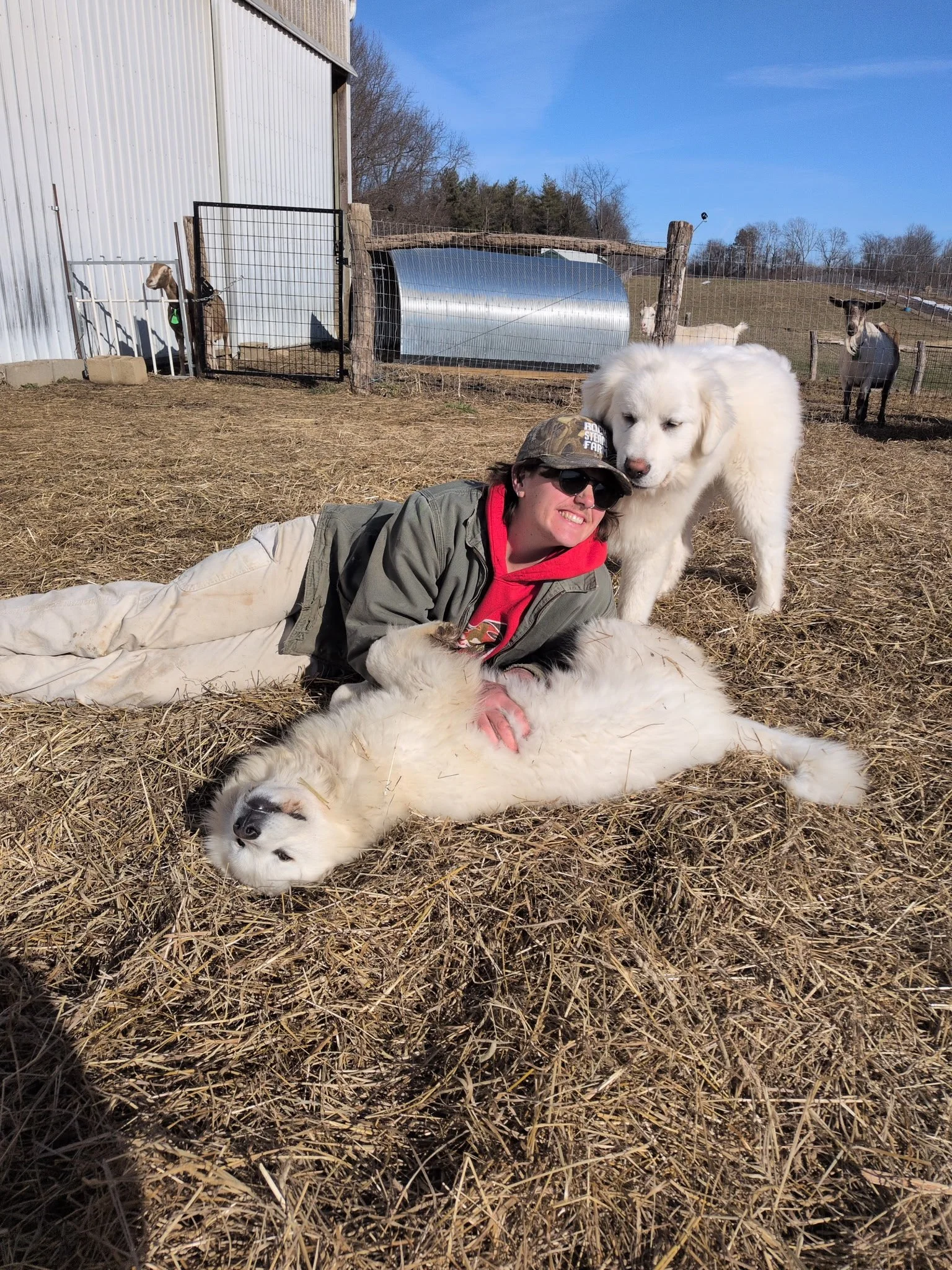 1808122867001977642 2.JPG