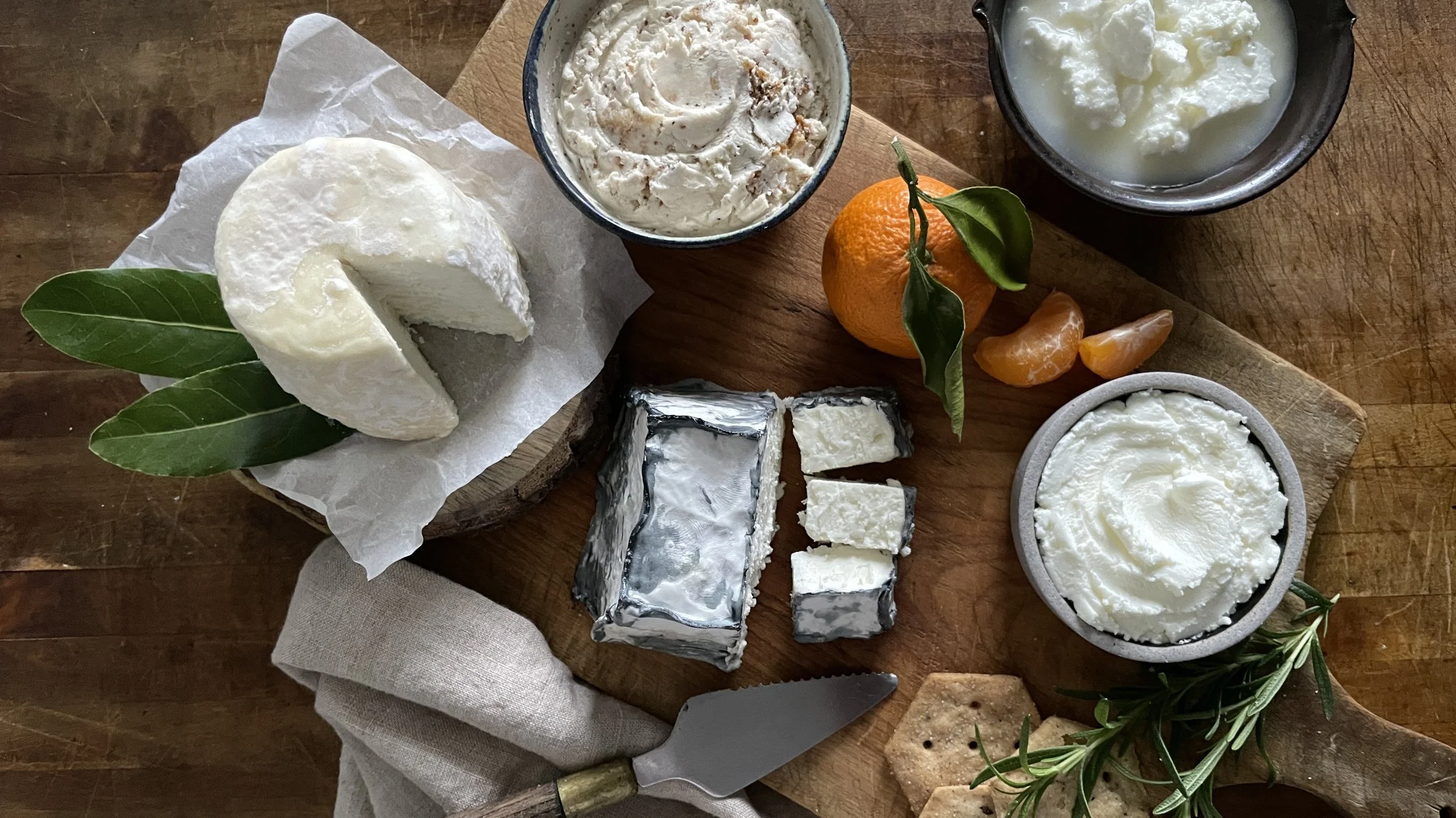 2026 VHF Cheese Club