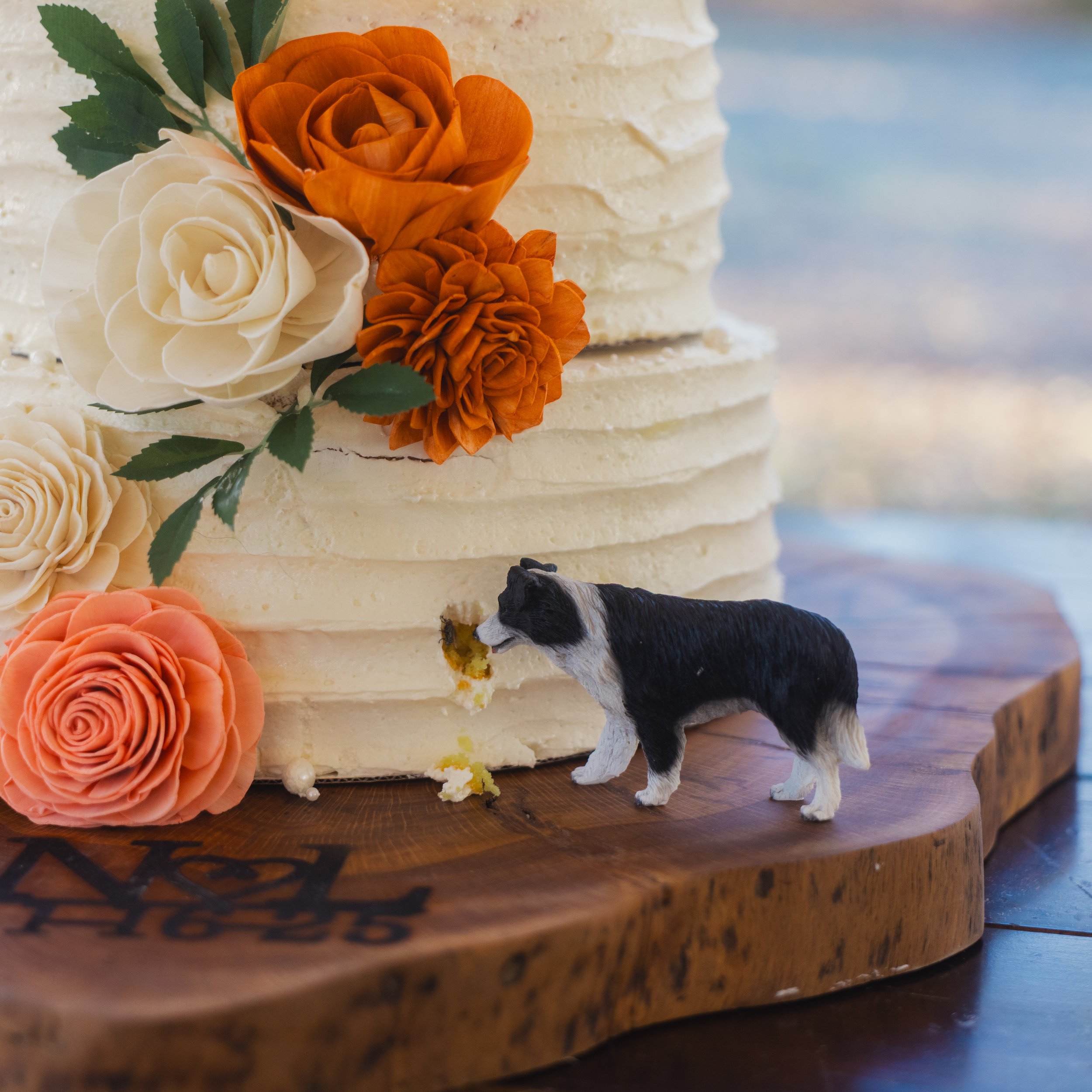 A small dog figurine appears to be eating a piece of cake next to a layered cream-colored cake decorated with orange, white, and peach roses on a wooden cake stand.