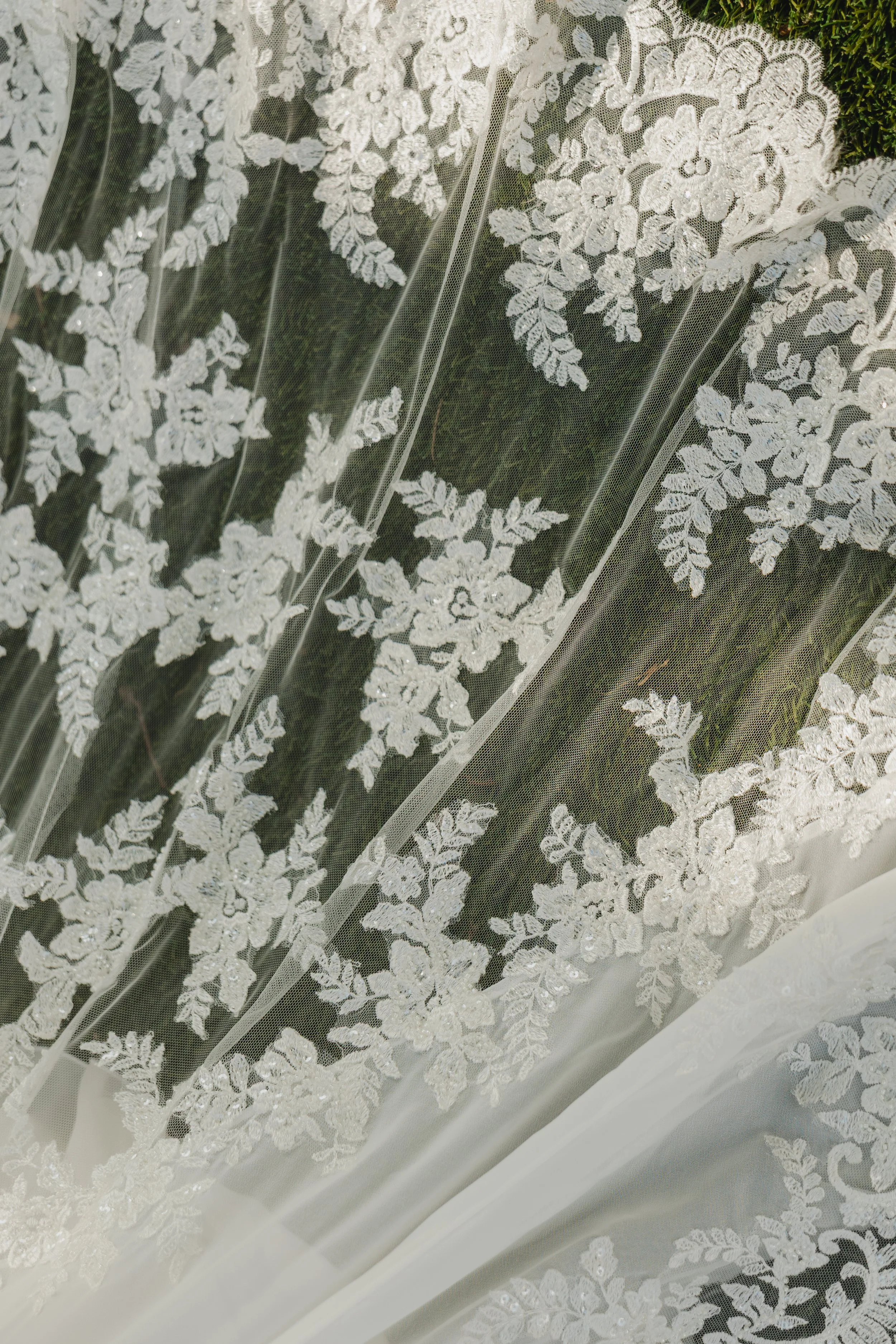 Close-up of a wedding veil with intricate lace floral embroidery, laying on a white surface with a green plant nearby.